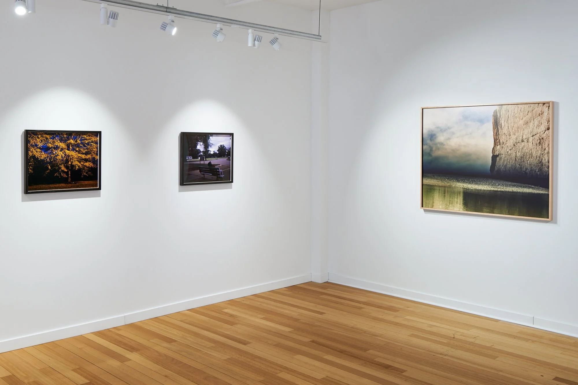 Sarah Shepard Gallery