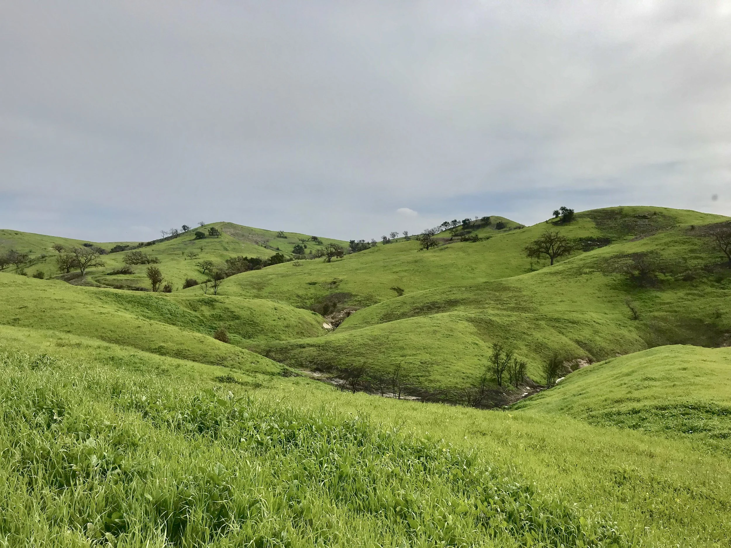 Upper Las Virgenes Canyon Open Space Preserve