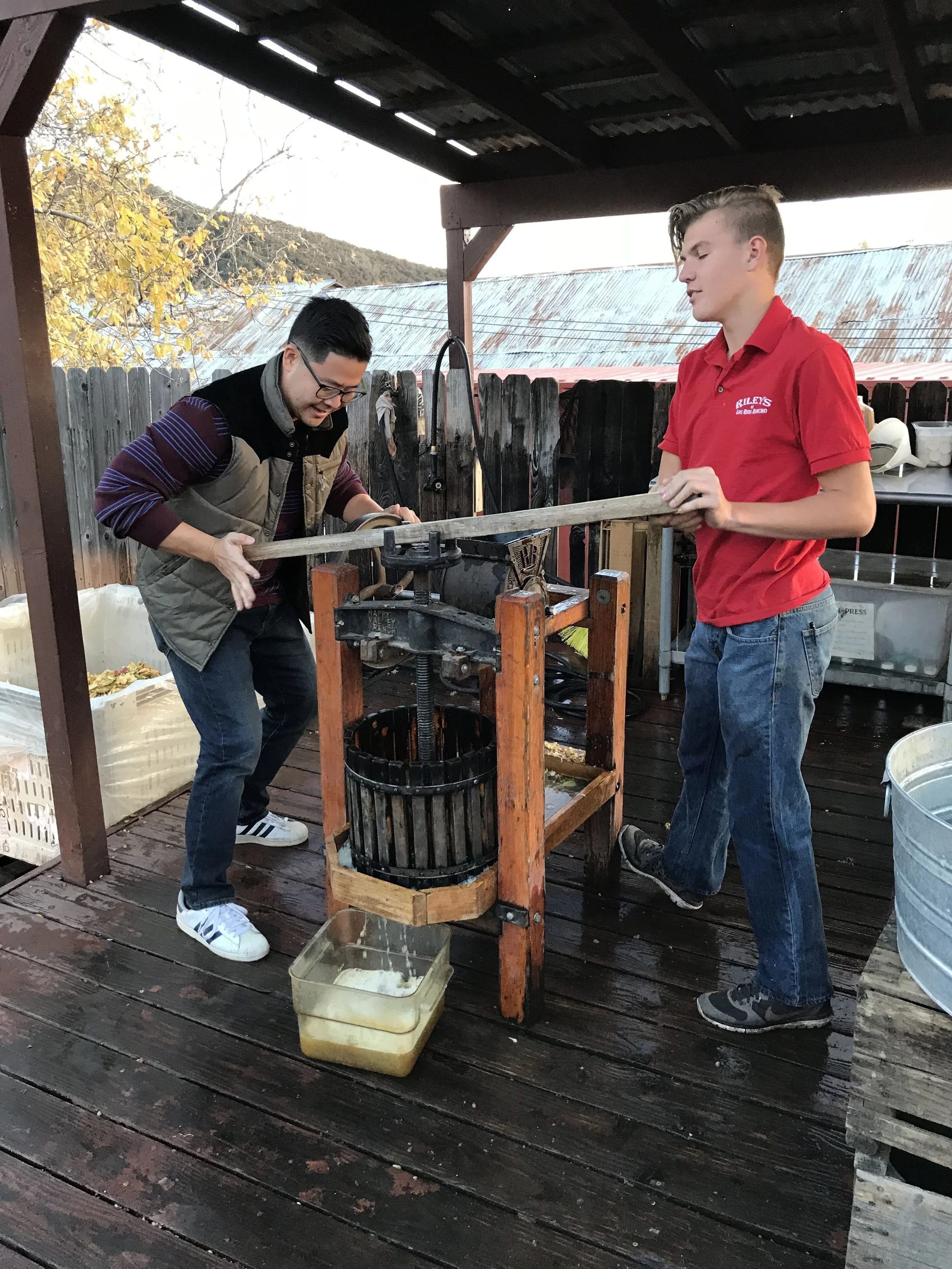 Pressing Apple Cider at Riley's Los Rios Rancho. Oak Glen, CA