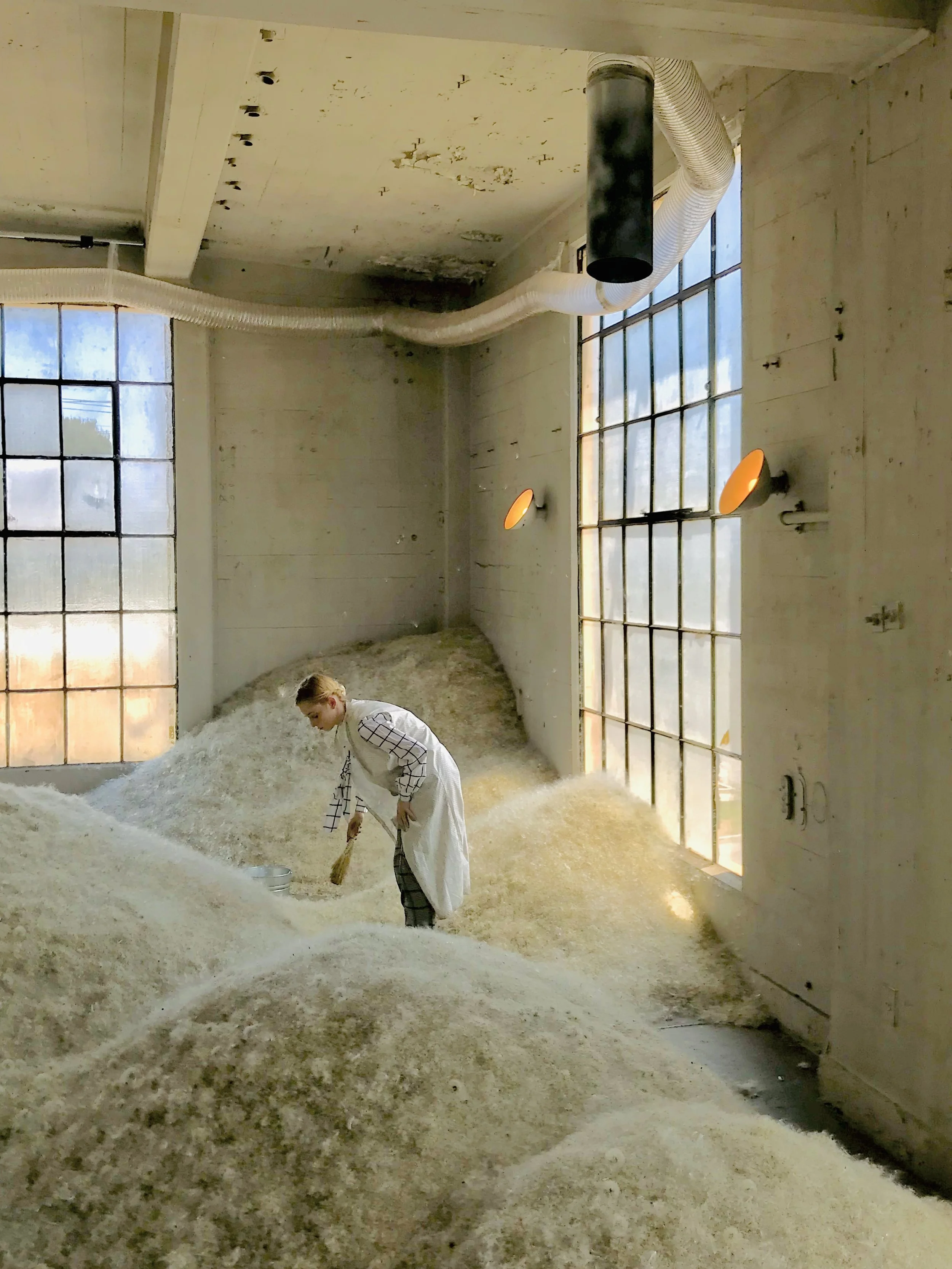 Dandelions - Presented by the Art Department