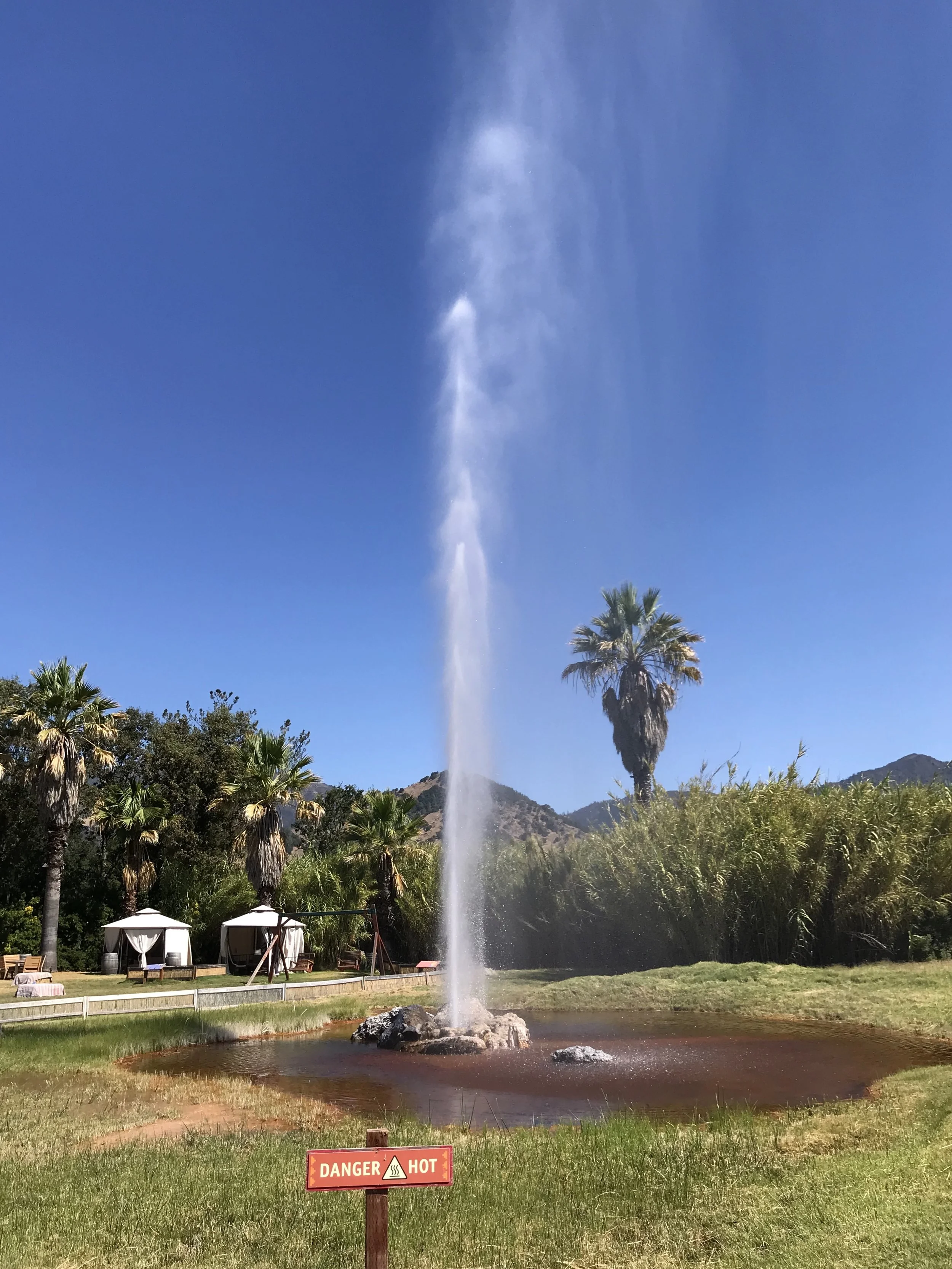 Old Faithful Geyser of California 