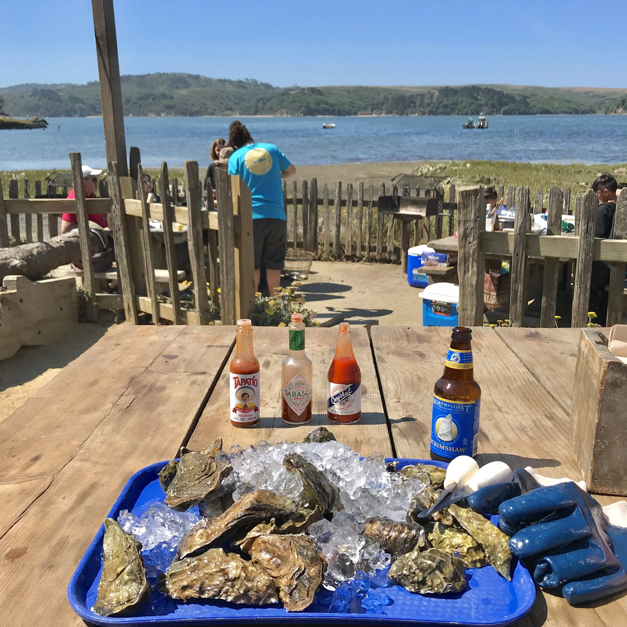 Hog Island Oyster Company