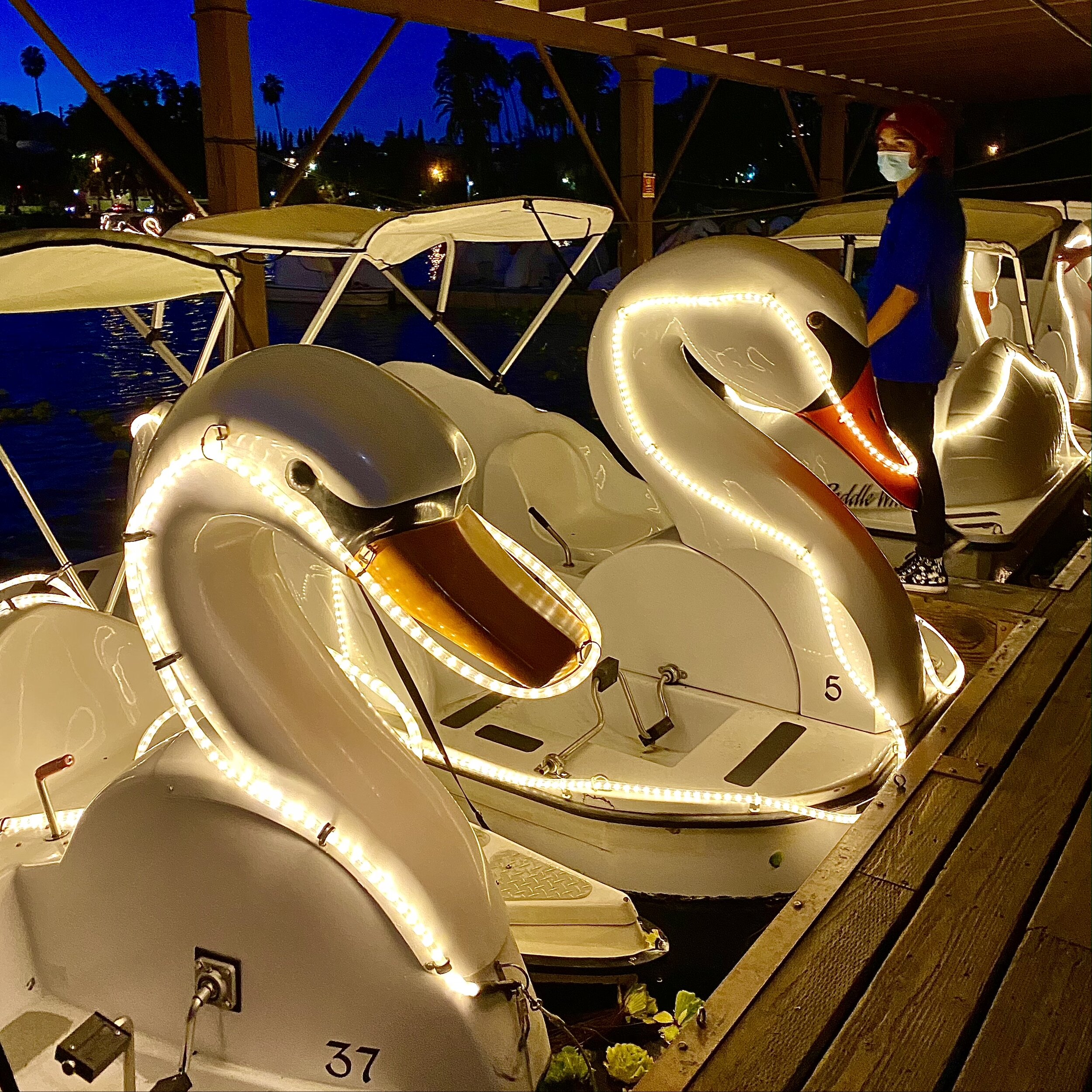 Swan Boat Night Ride at Echo Park Lake