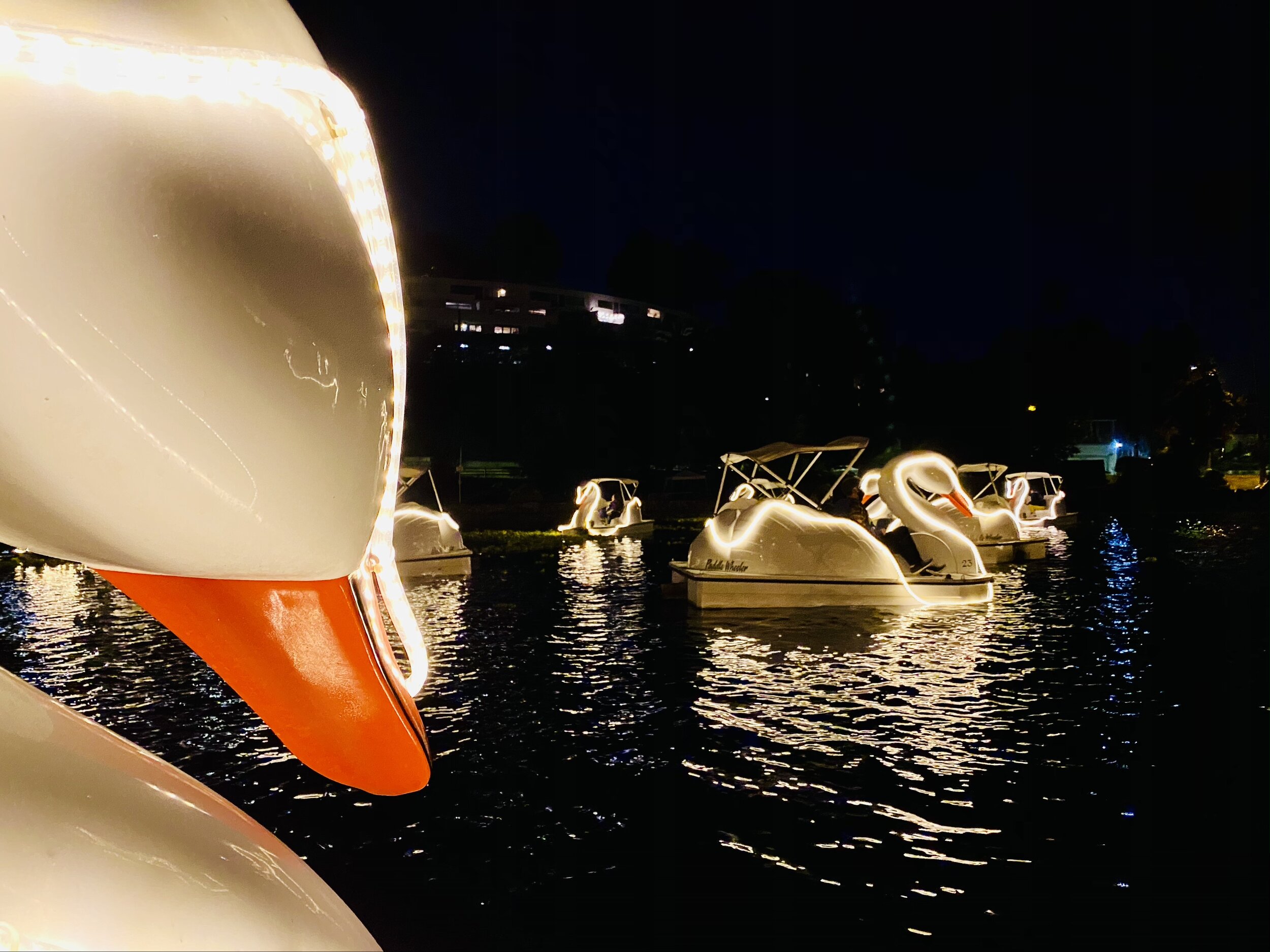 ECHO PARK PEDAL BOATS CONCESSION  City of Los Angeles Department of  Recreation and Parks