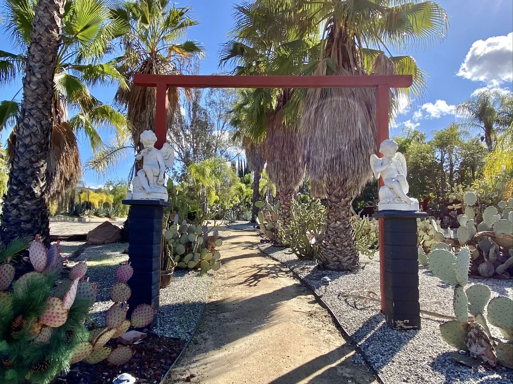 Topanga Canyon Boulevard Cactus Garden  California By Choice
