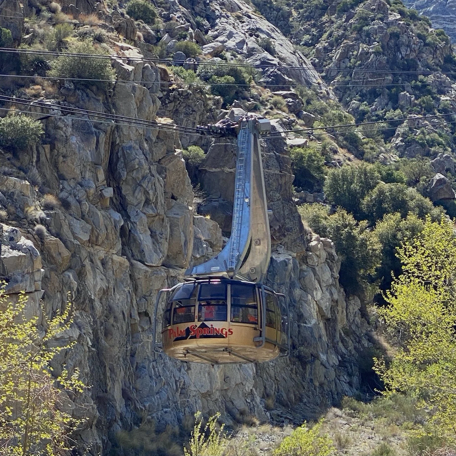 Weather In Palm Springs Aerial Tramway 10 Days - tg910ps