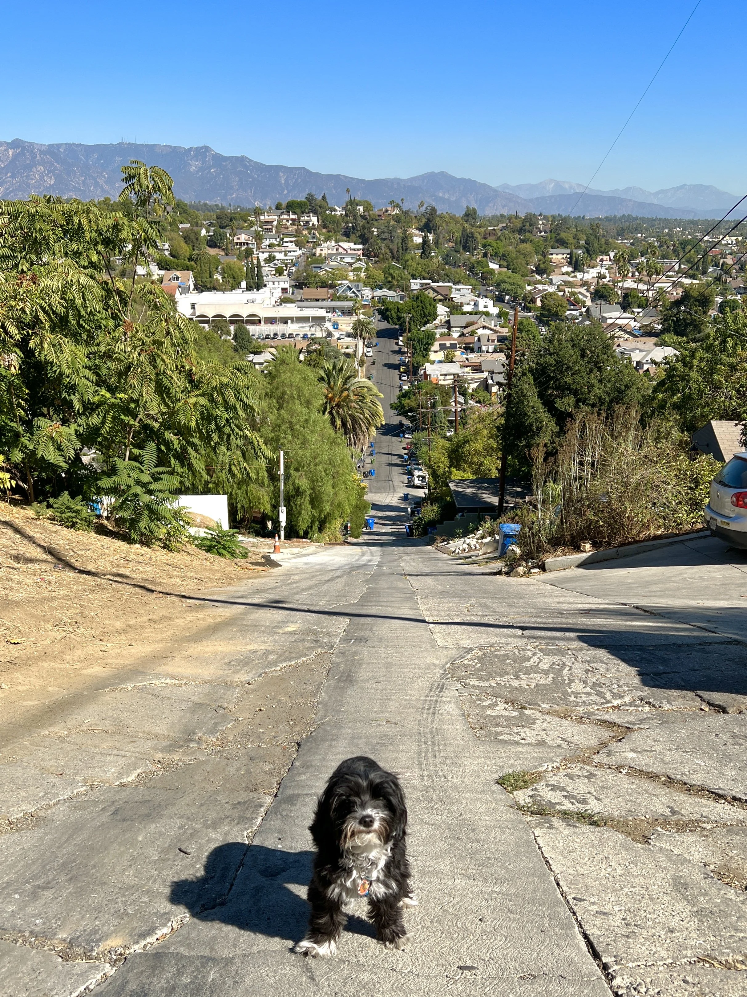 Eldred Street - The Tallest Street in Los Angeles