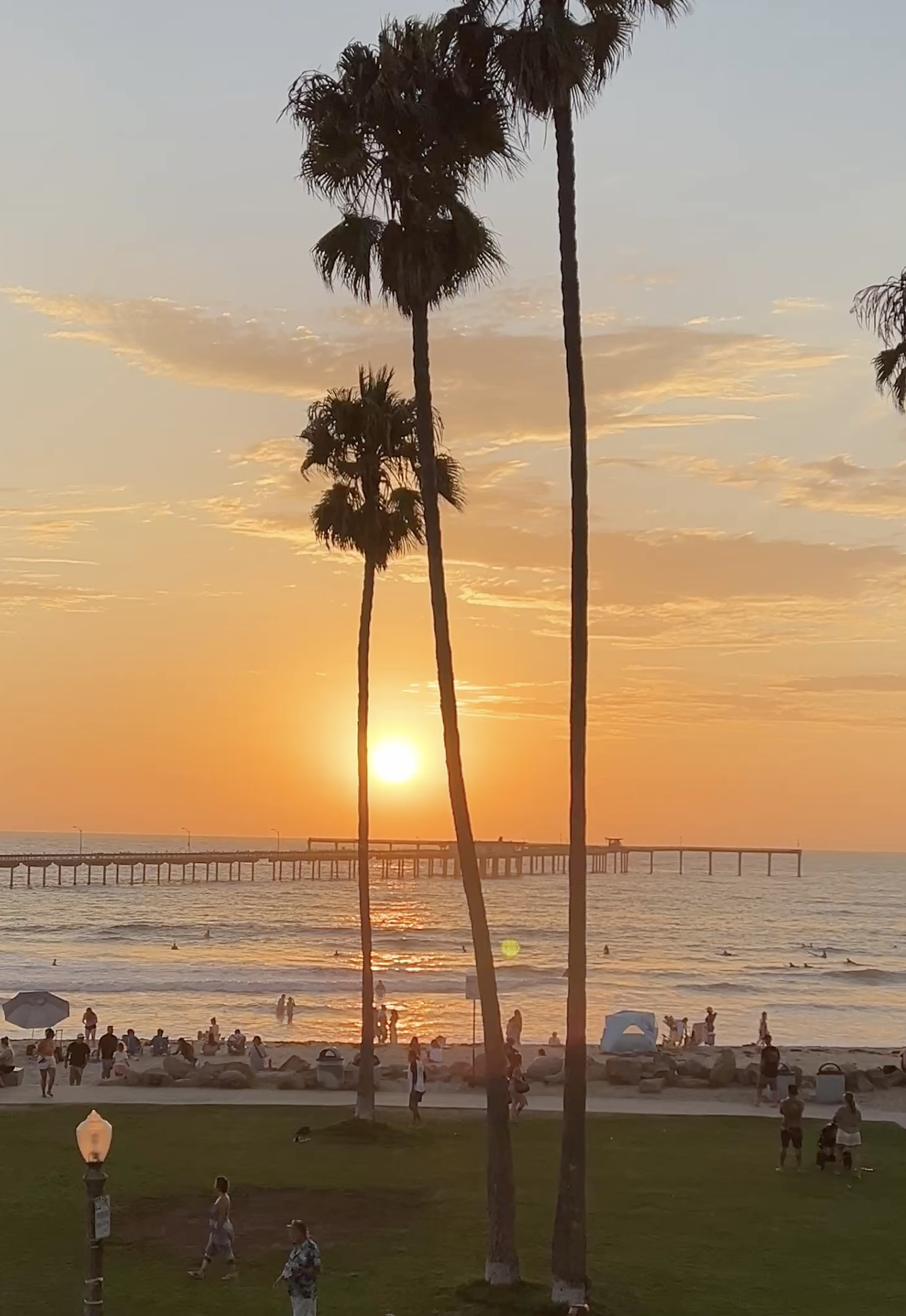 Sunset Toast at Wonderland Ocean Pub