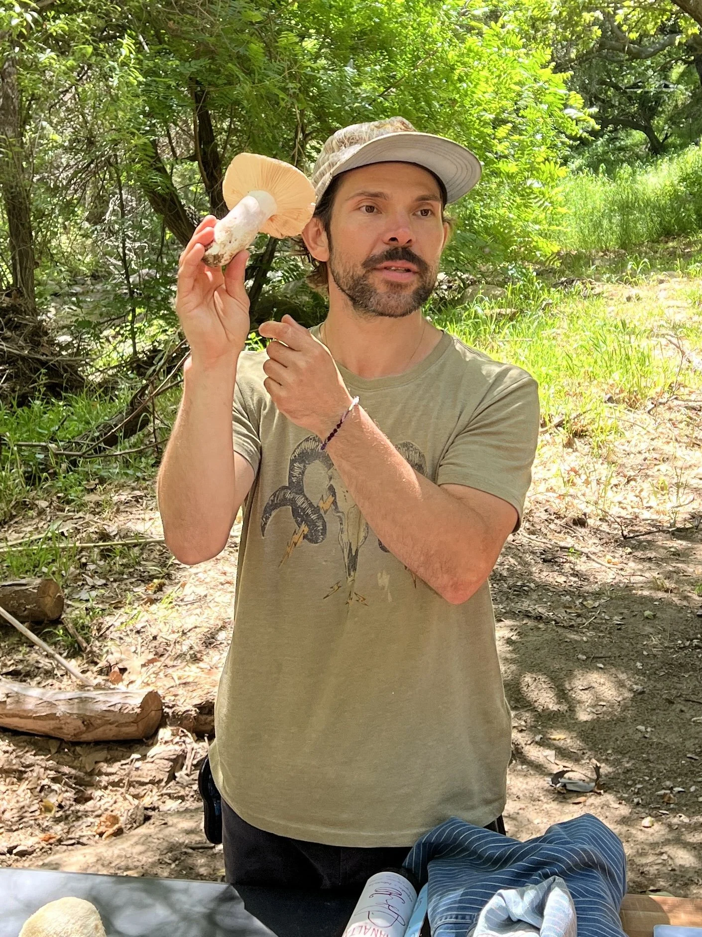 Farr &amp; Wild Mushroom Tour