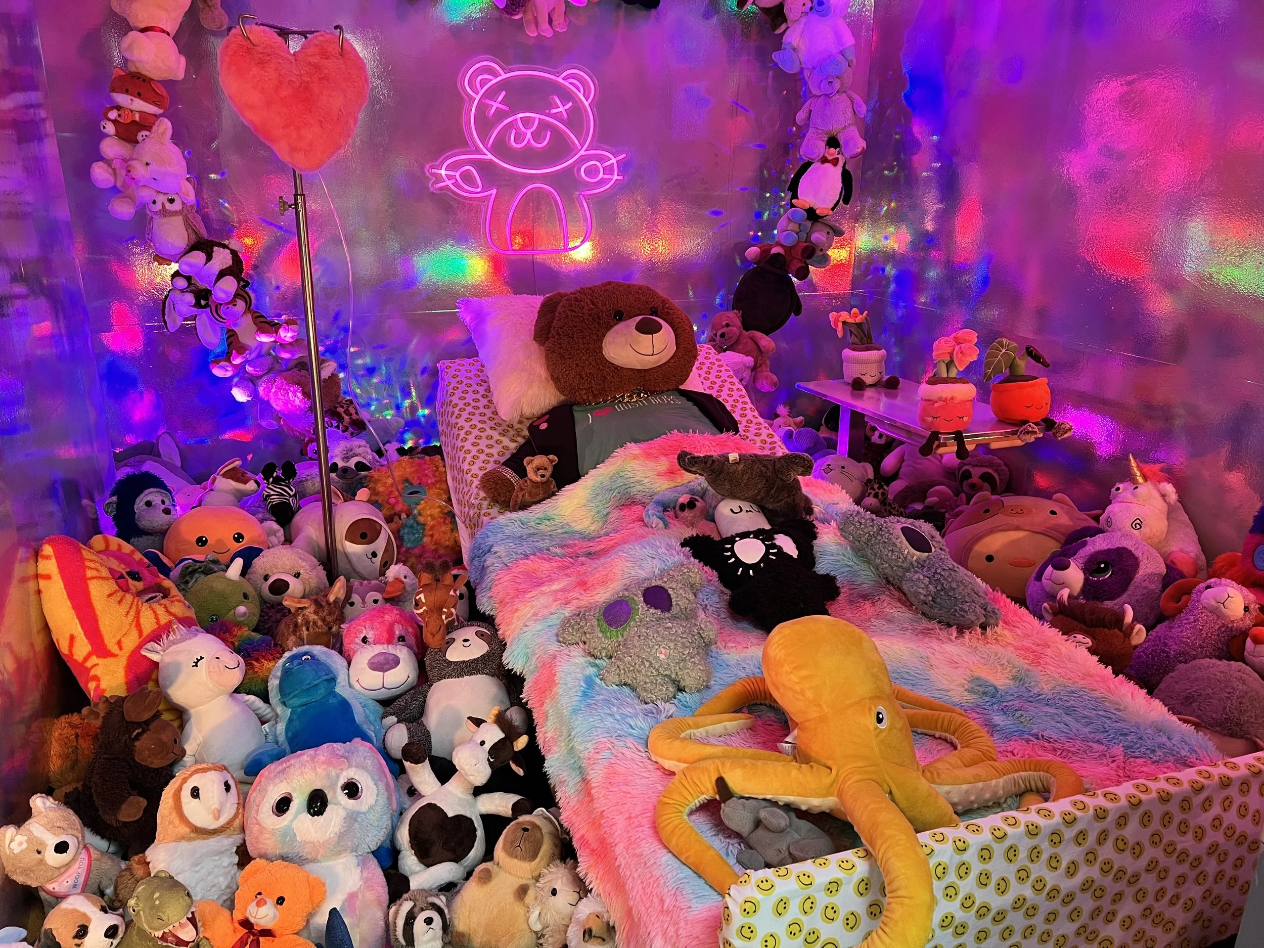 Hospital of Emotions