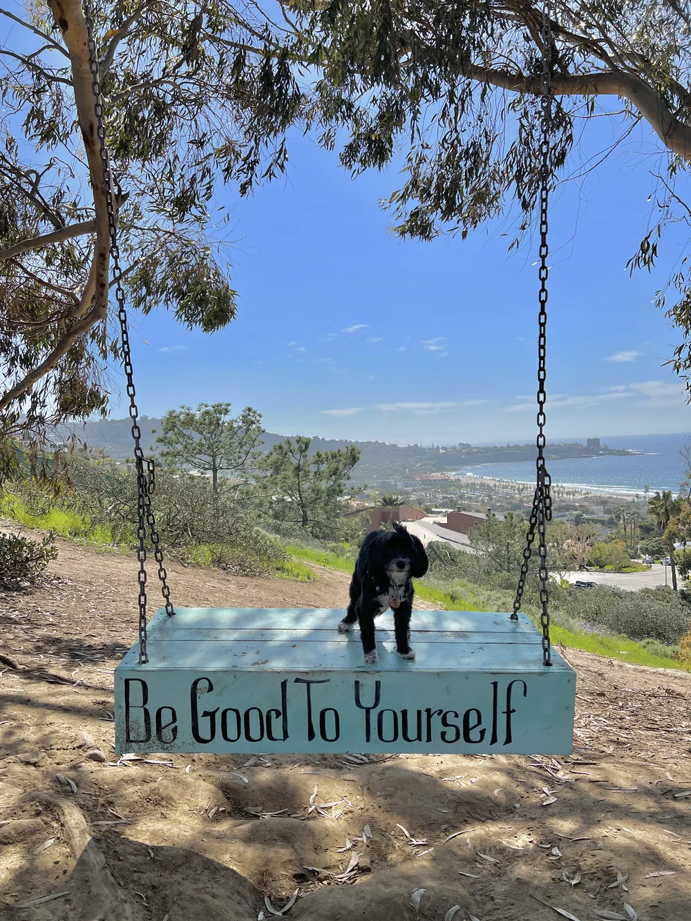 La Jolla Secret Swing — California By Choice