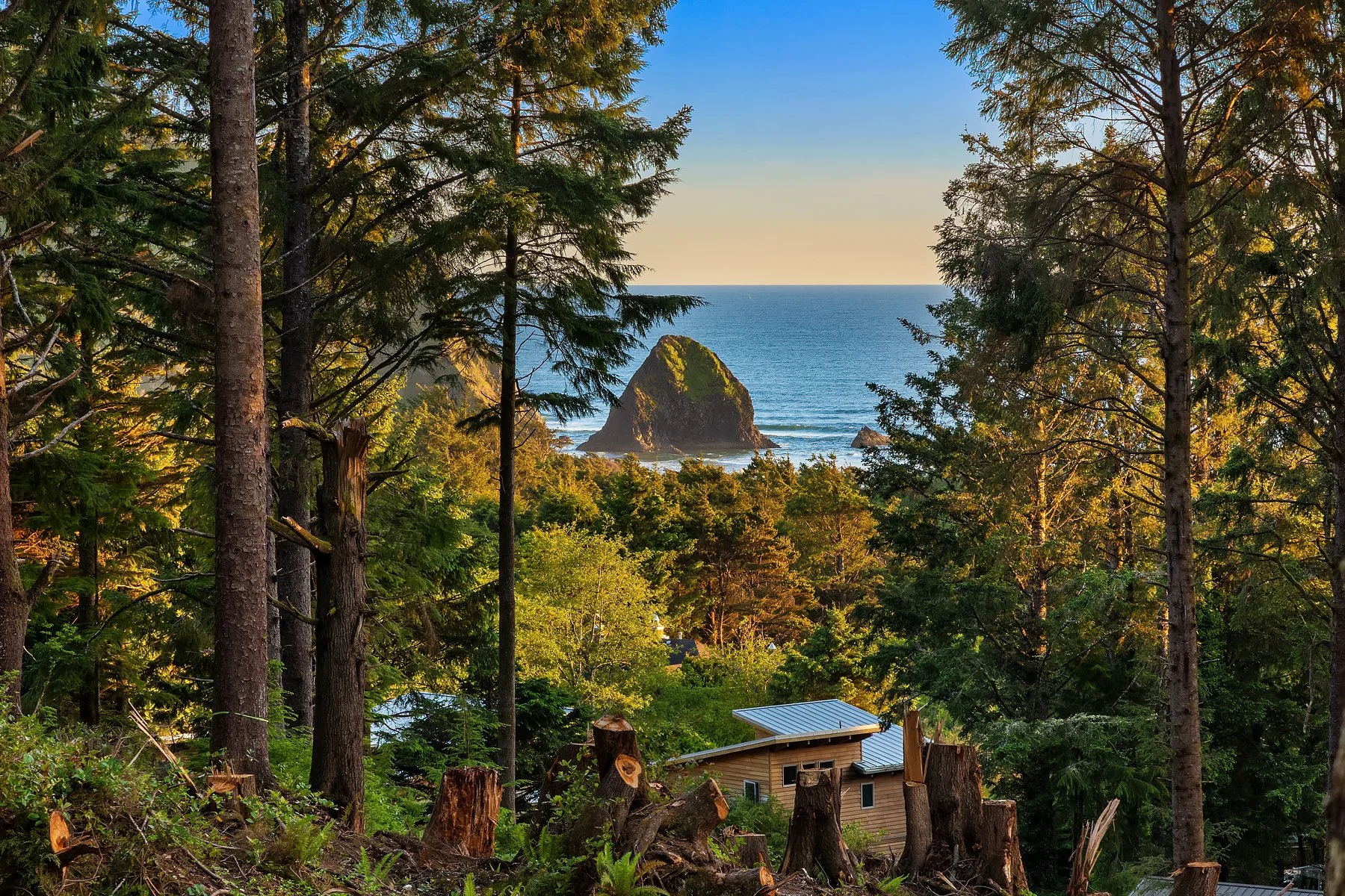 Spruce Ridge - Sunet and Video