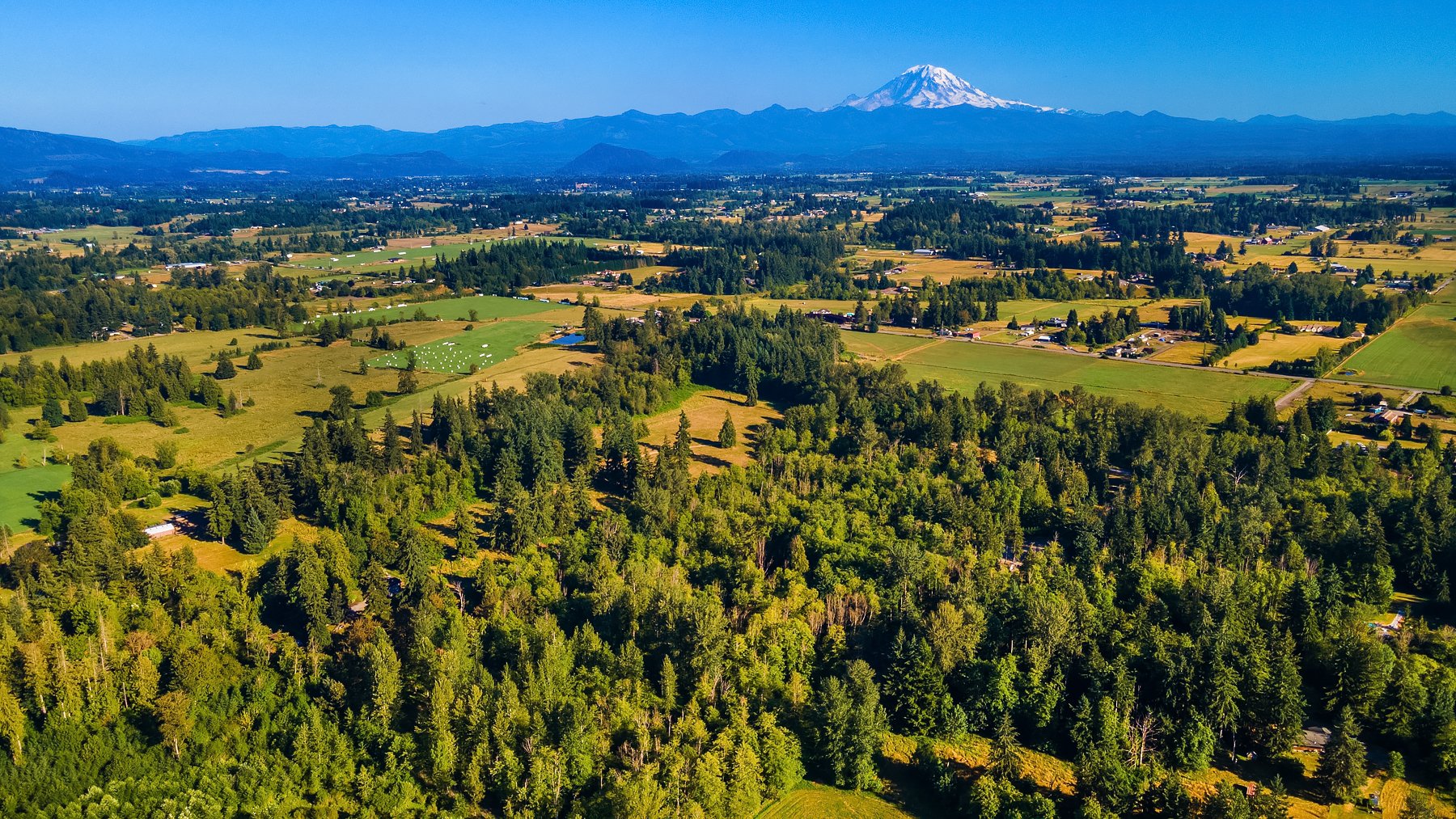 Enumclaw Lot