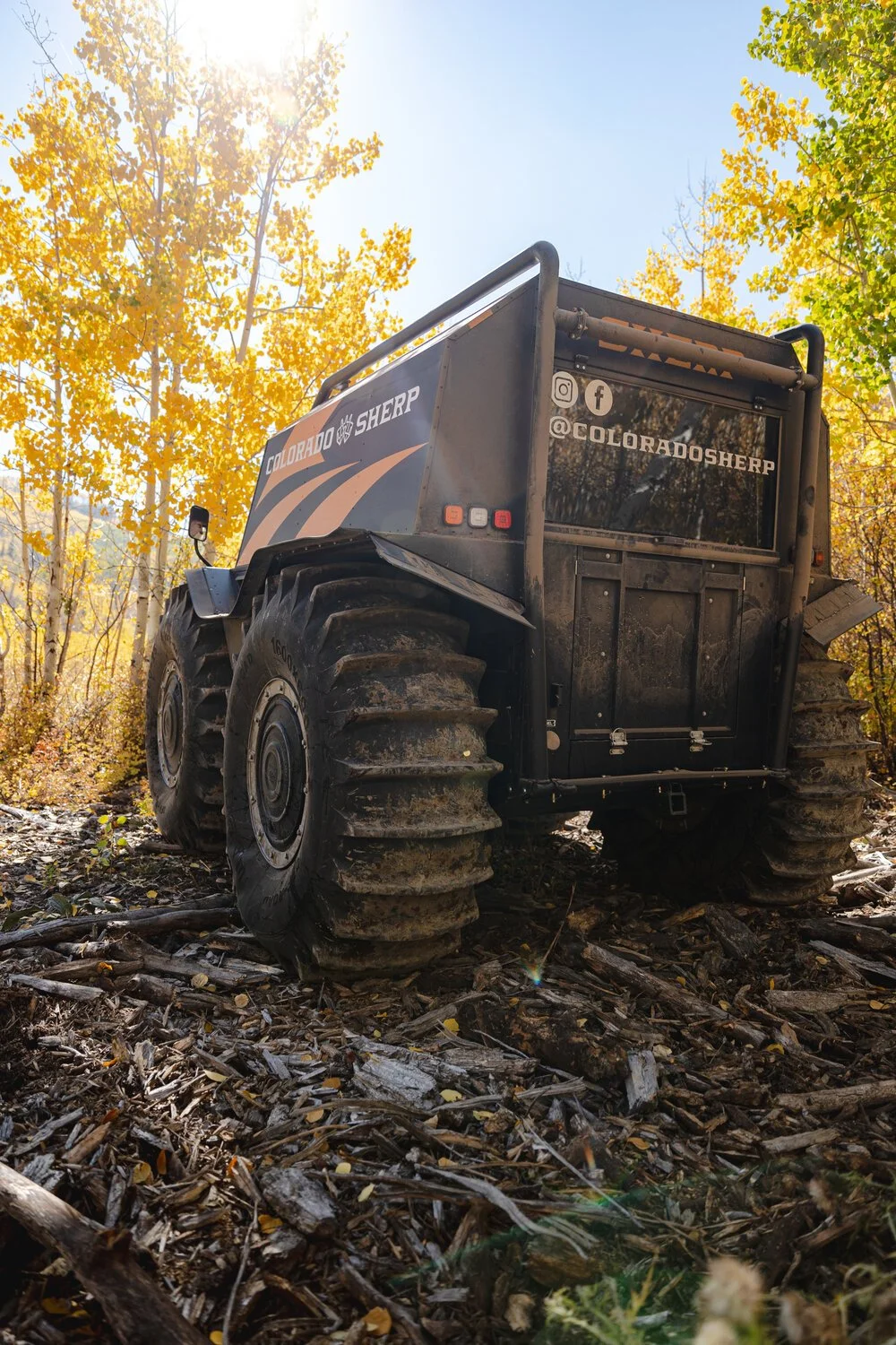 image-asset (7).jpeg