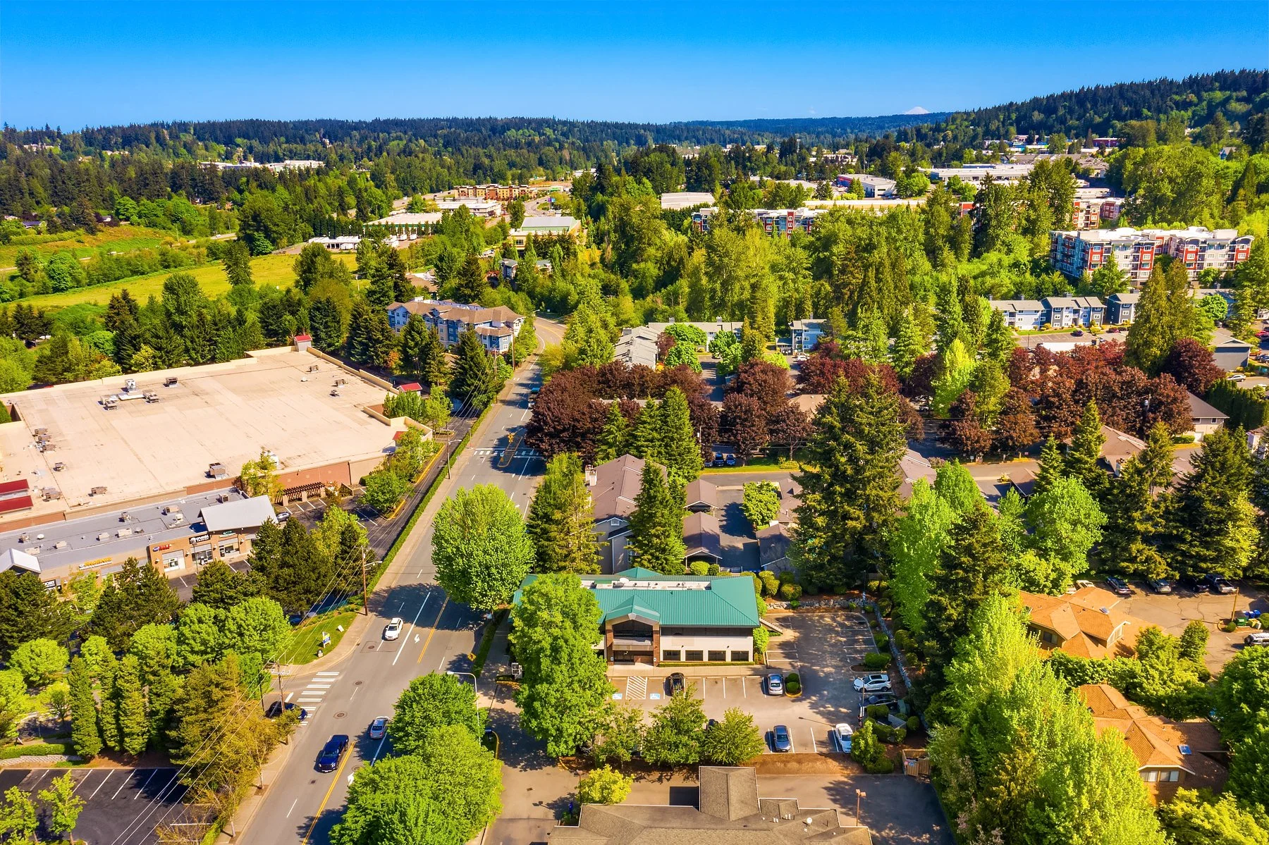 17924 140th Ave NE - Drone