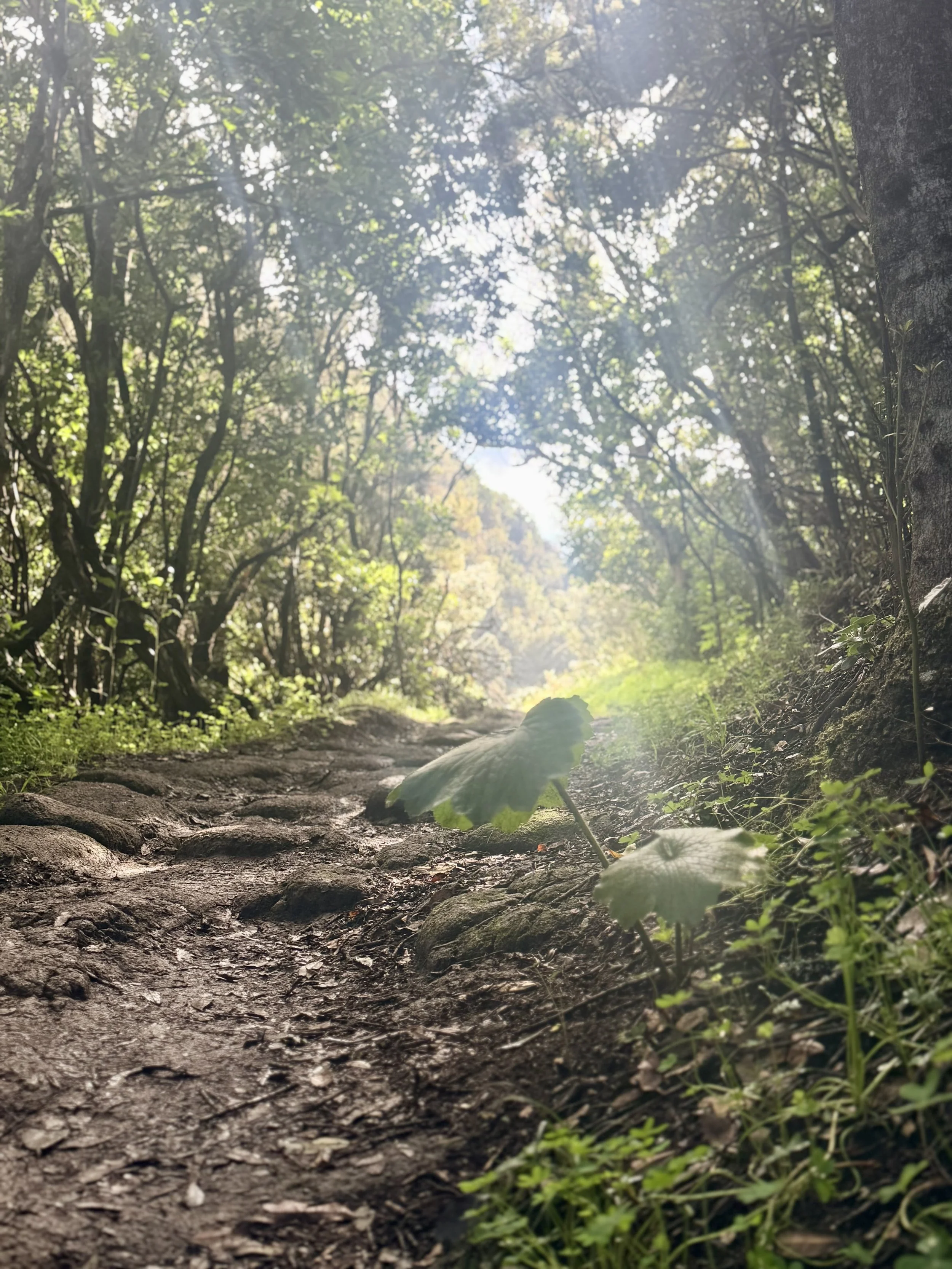 “Gratitudine” di Marco M. 