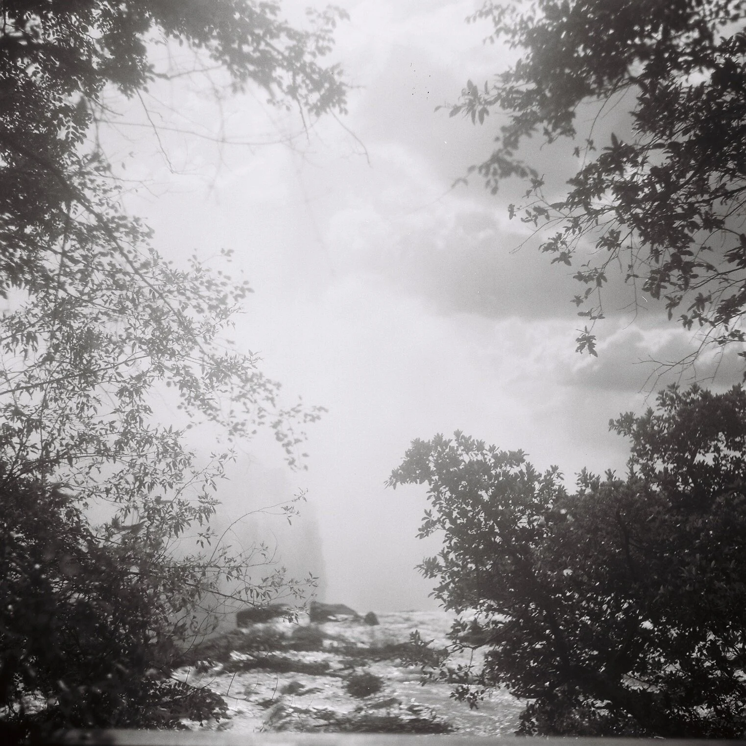 When dark meets light | film photography from Bali, Thailand and Africa