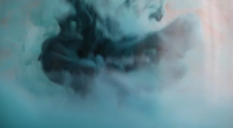 Dream within a dream | video