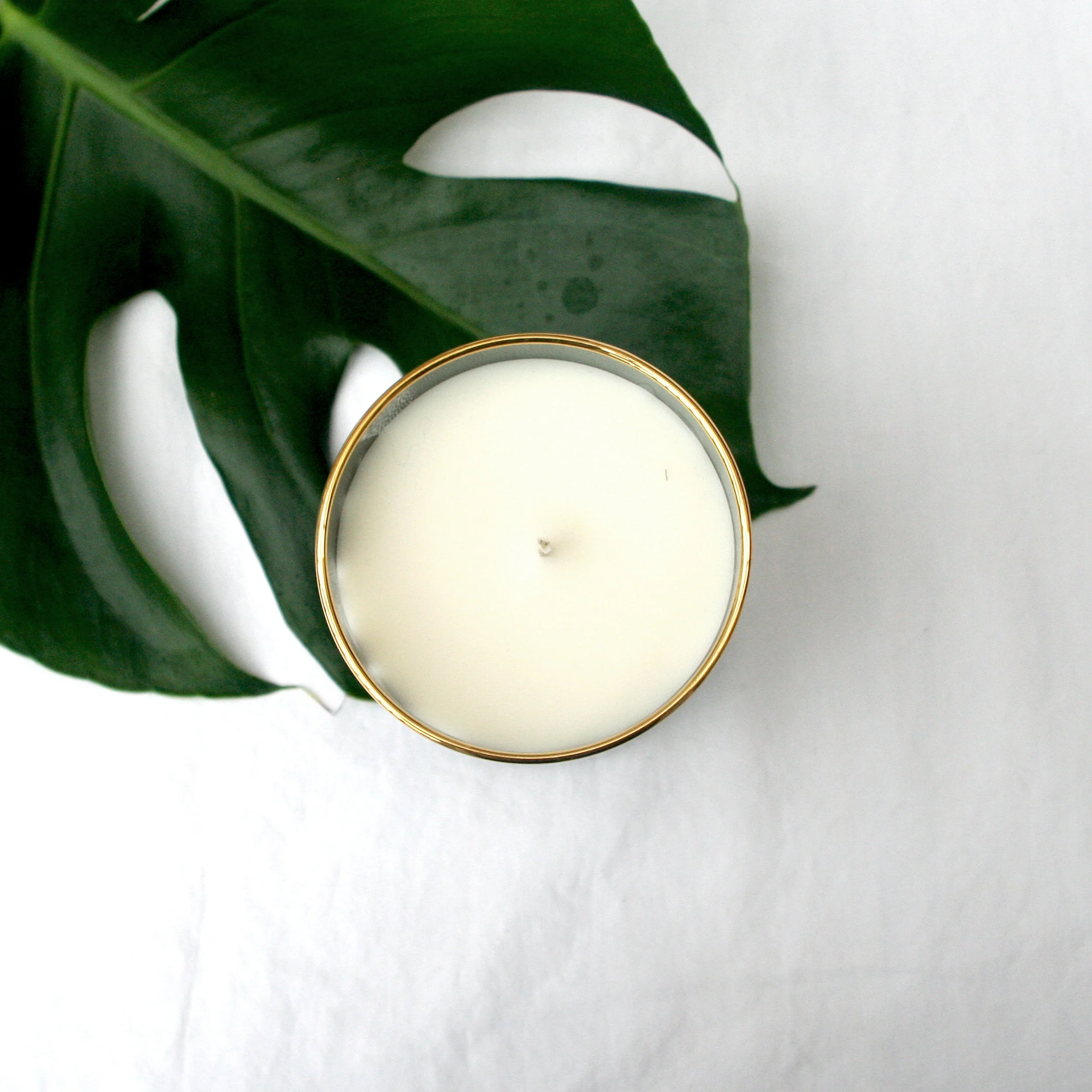 botanical soy wax candle gift for him home interior
