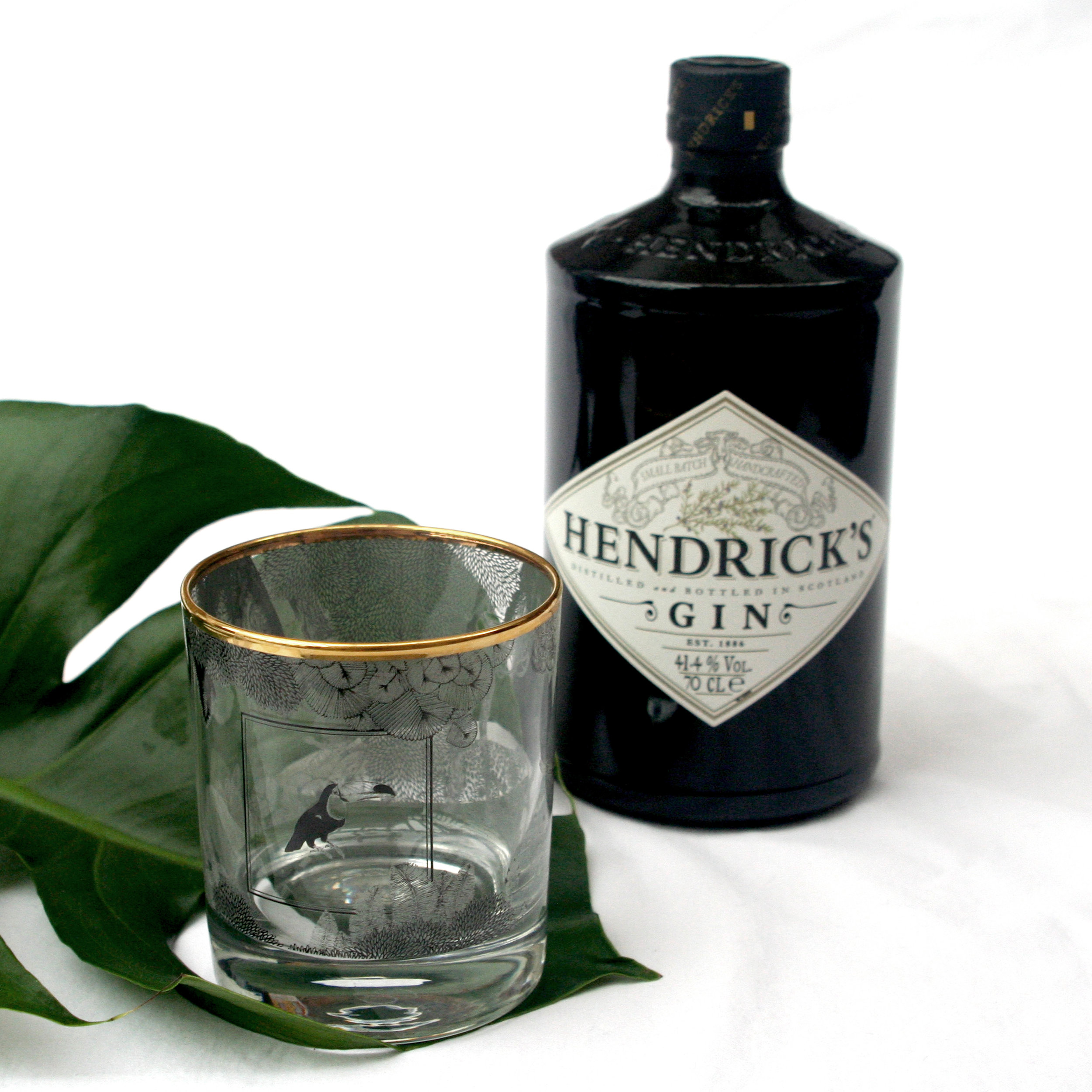 glass gin whiskey botanical illustrated tumbler with gold