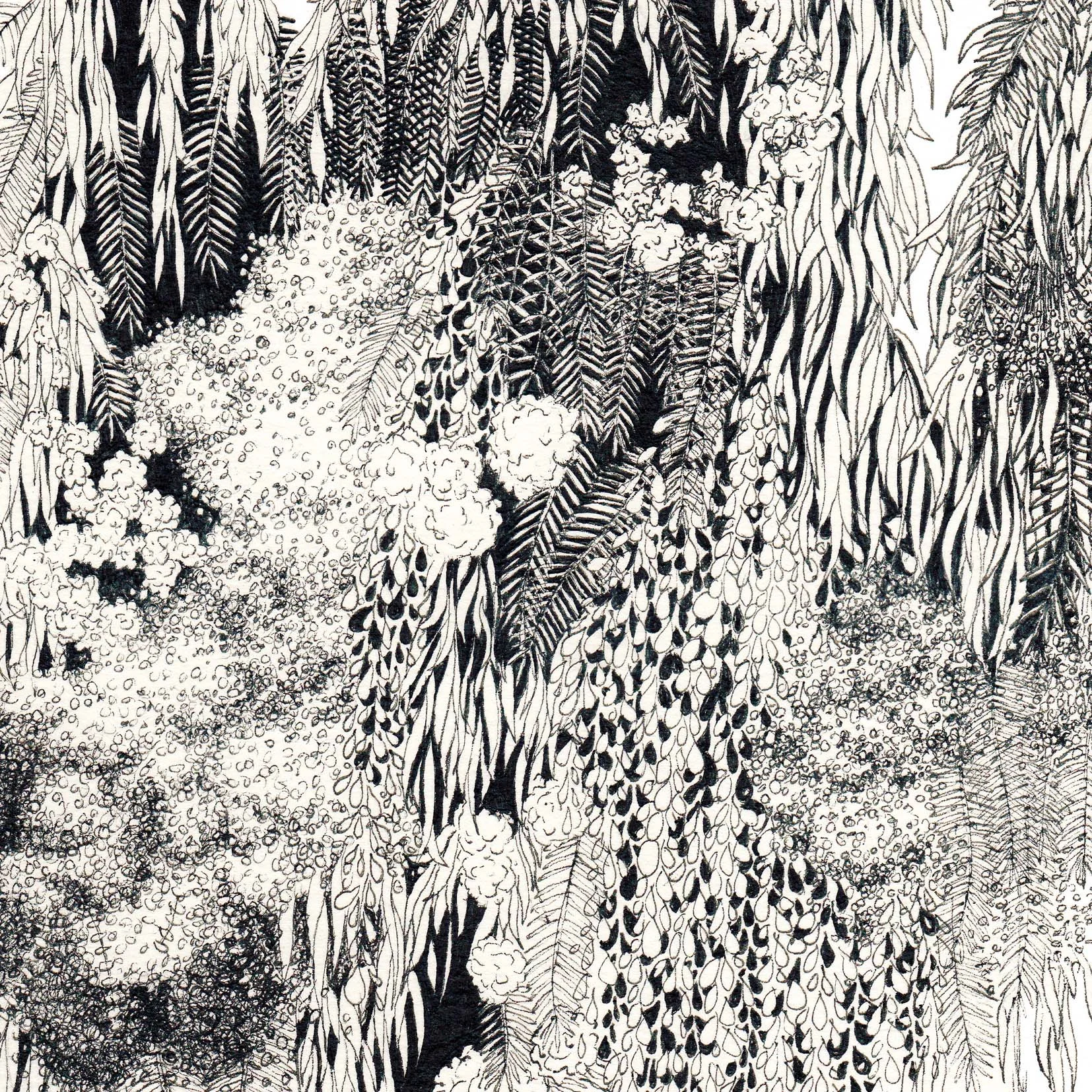 detailed botanical illustration wall art