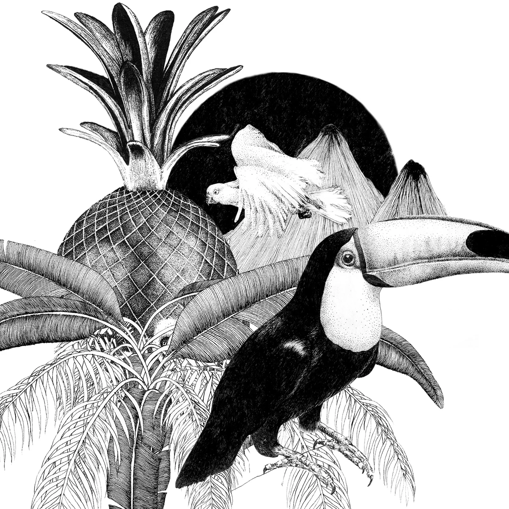 toucan pineapple illustration jungle art print