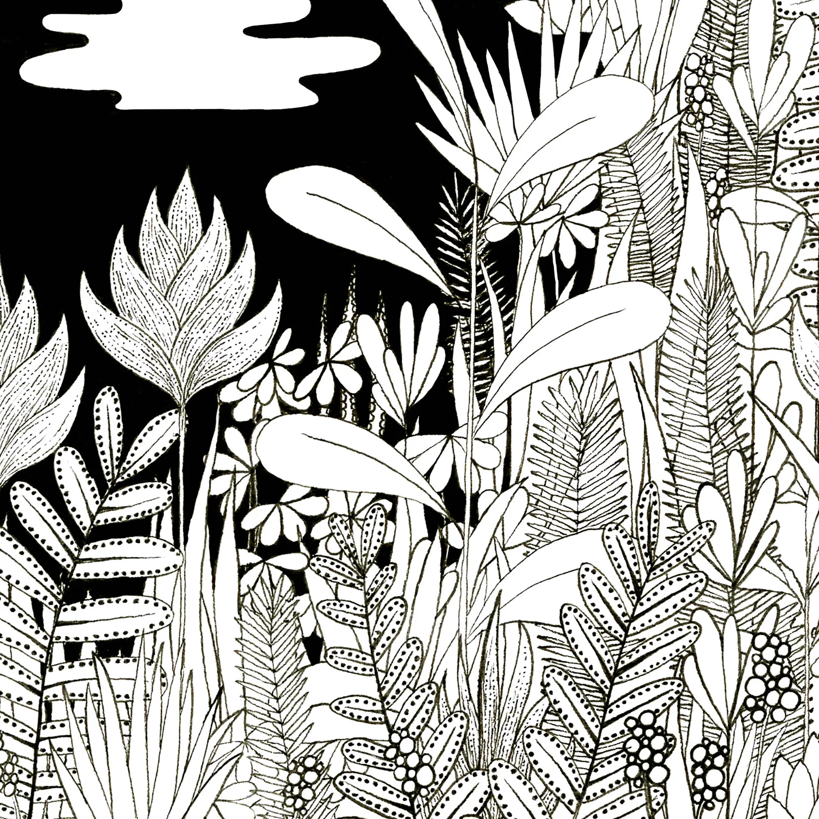 surreal nature landscape illustration black and white