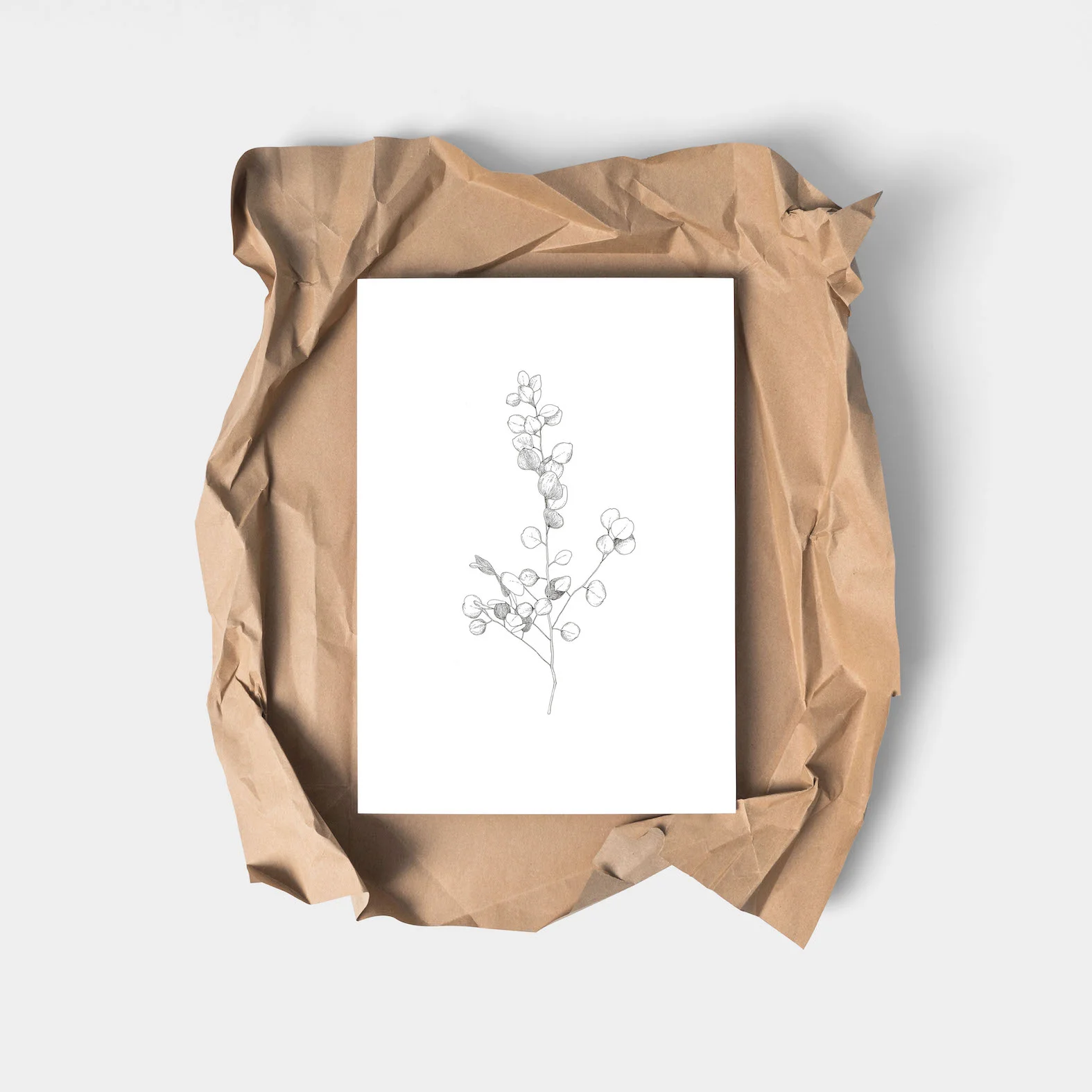 minimal eucalyptus botanical illustration art print line drawing scandinavian design