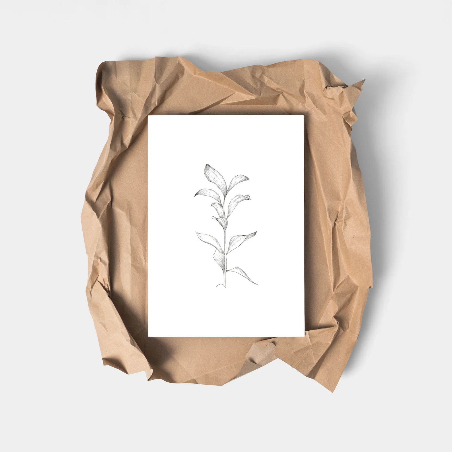 home interior styling botanical illustrated minimal art print