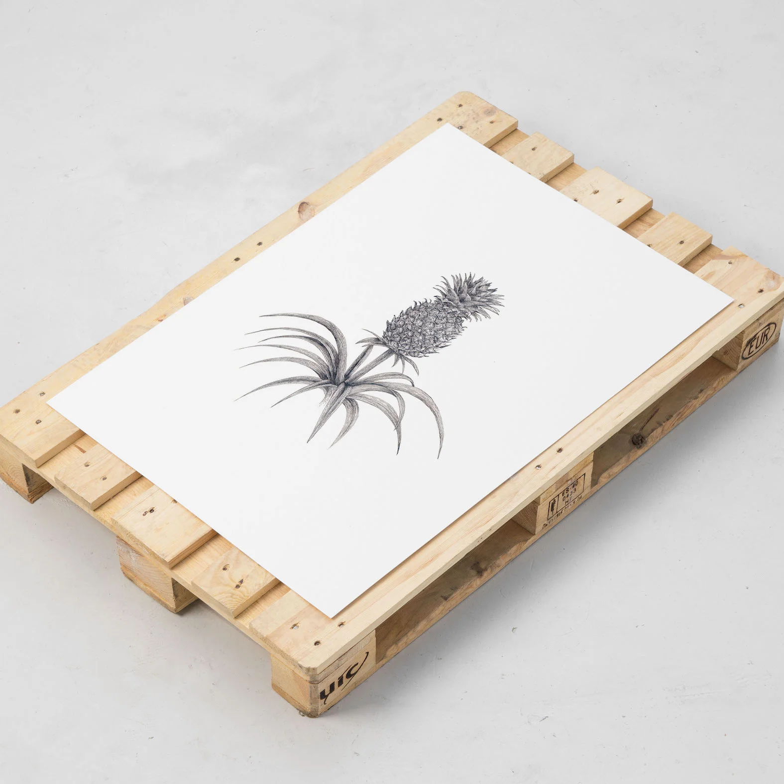 pineapple botanical art print home interior styling