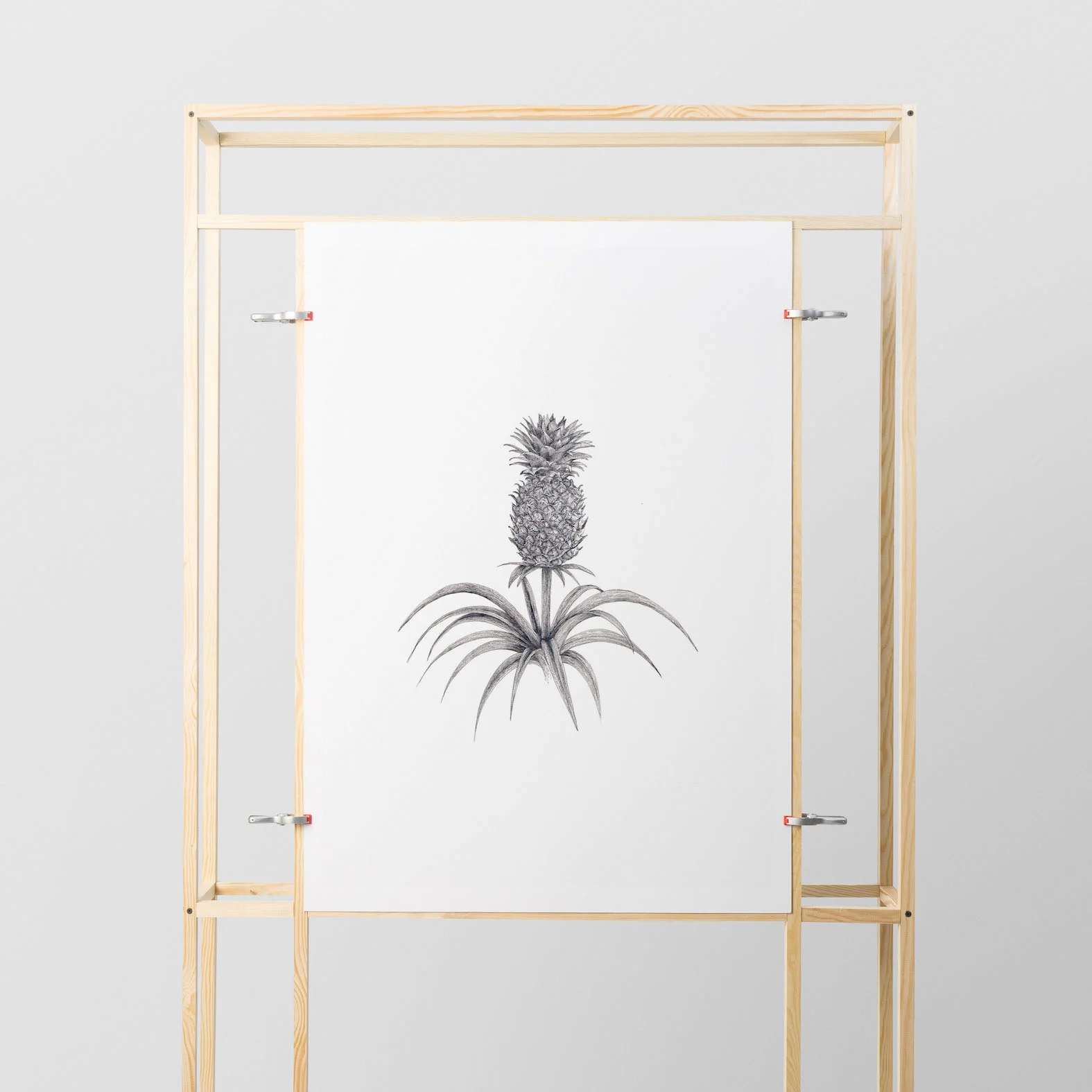 pineapple botanical art print home interior styling