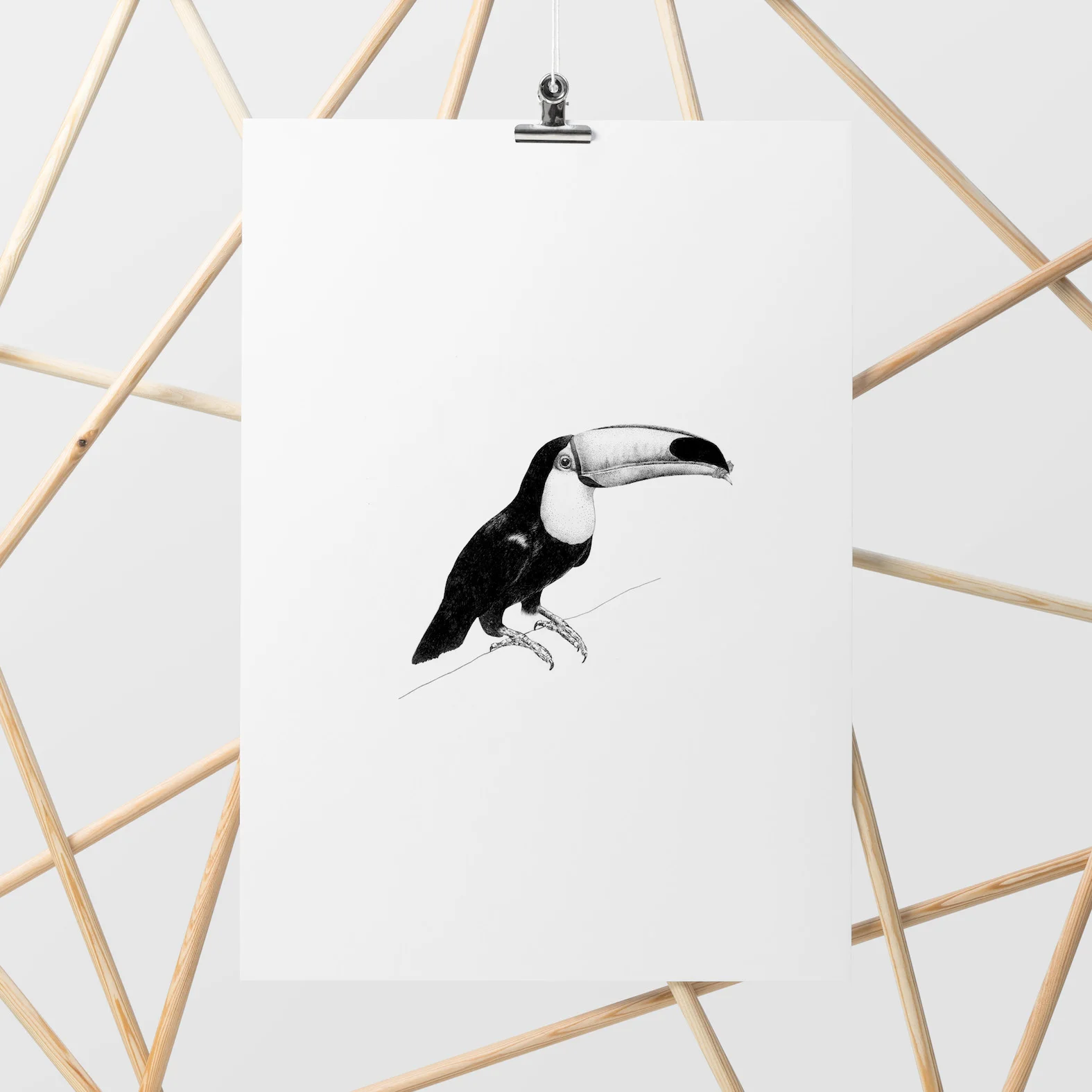 graphic toucan illustration art print jungalow home