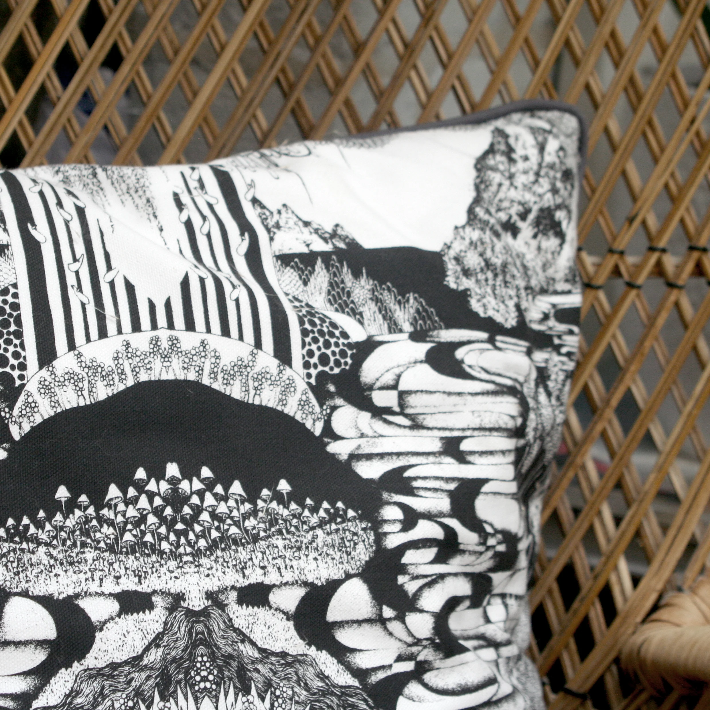 home decor illustrated designer cushions