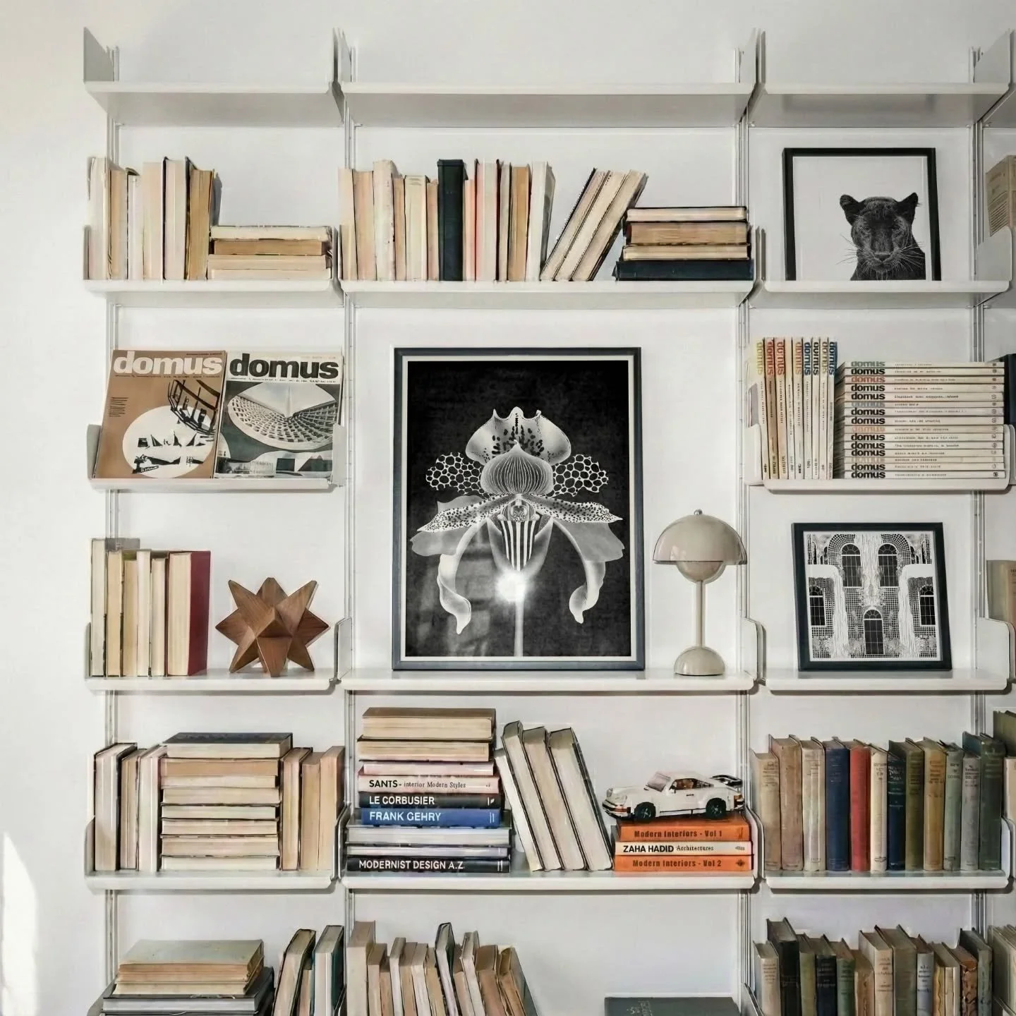 Full collection of fine art prints are available online now. Link in bio x