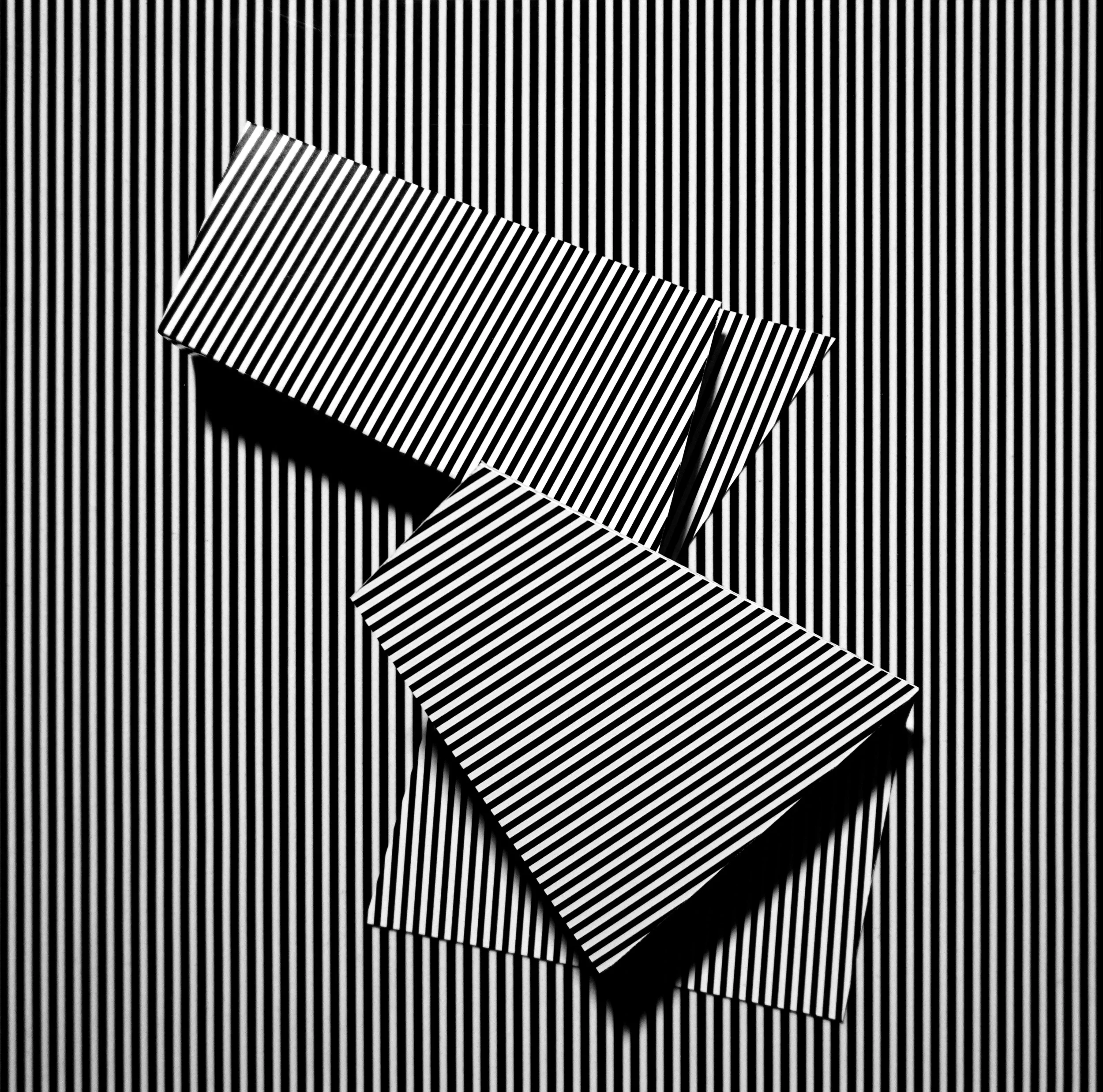 DANIEL DEFILIPPI // Murph