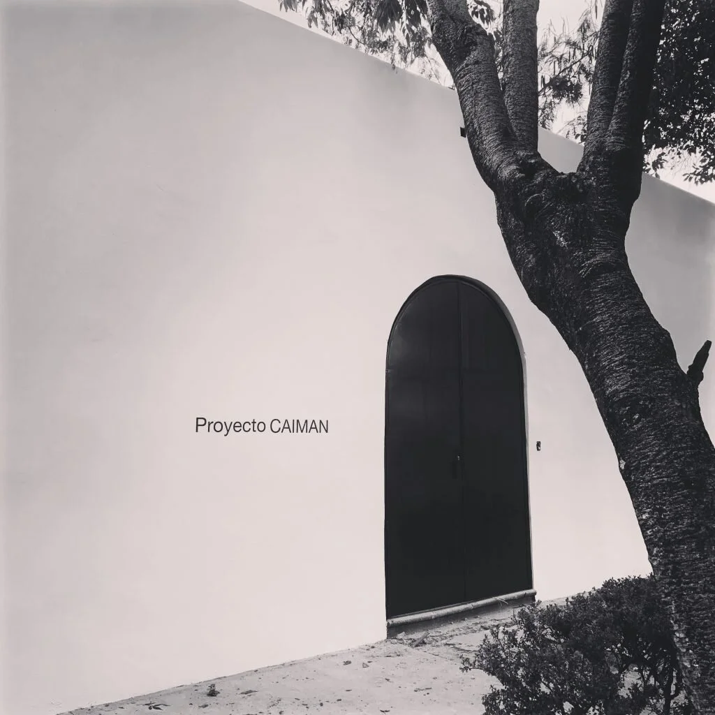 PROYECTO CAIMÁN