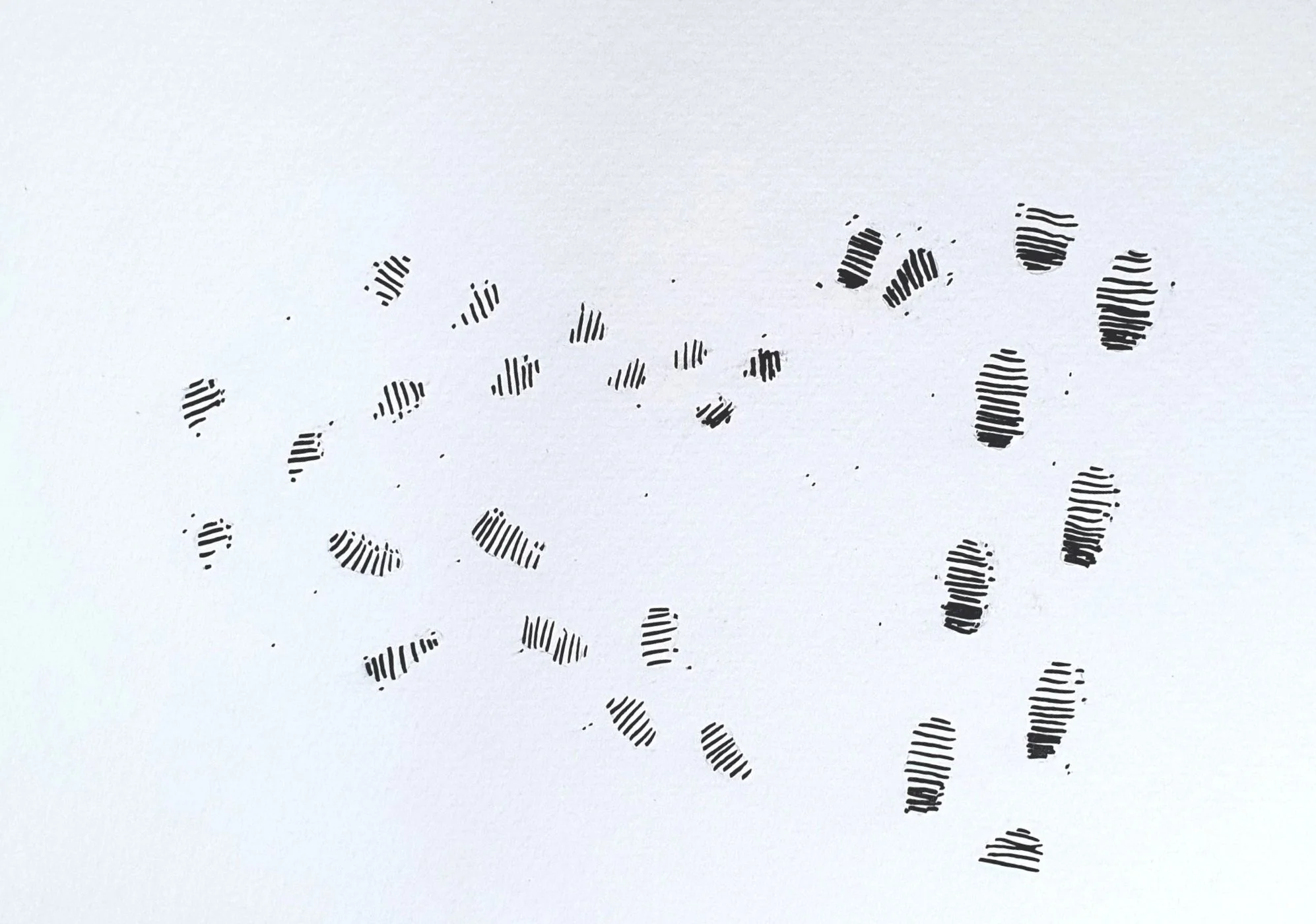 TODOS HEMOS QUERIDO  // PAUL GRECCA