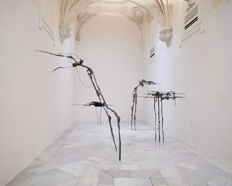 DE CERCA TODOS SOMOS EXTRAÑOS // CAAC