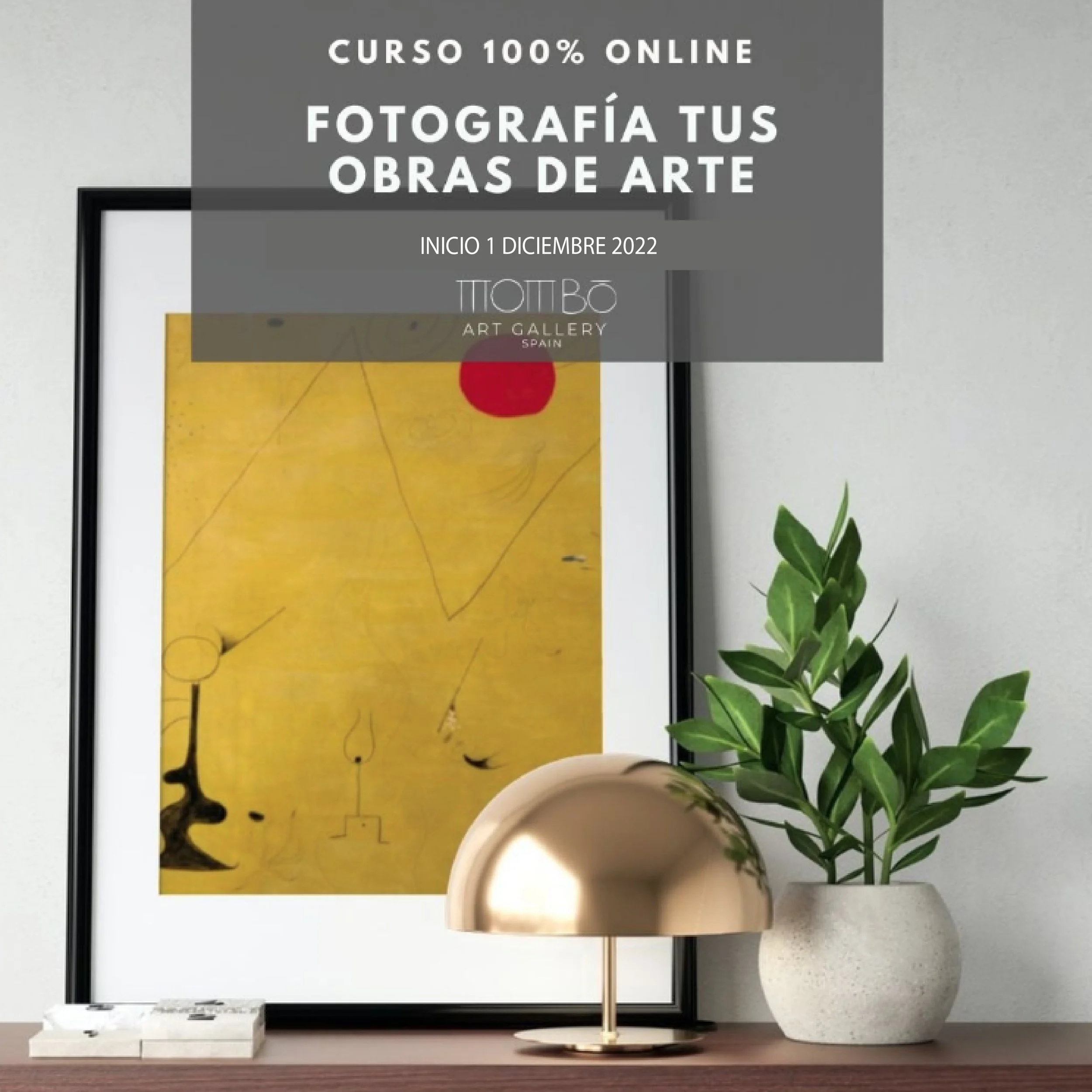 Matrícula Cerrada. Curso Fotografía tus obras de arte. 100% Online