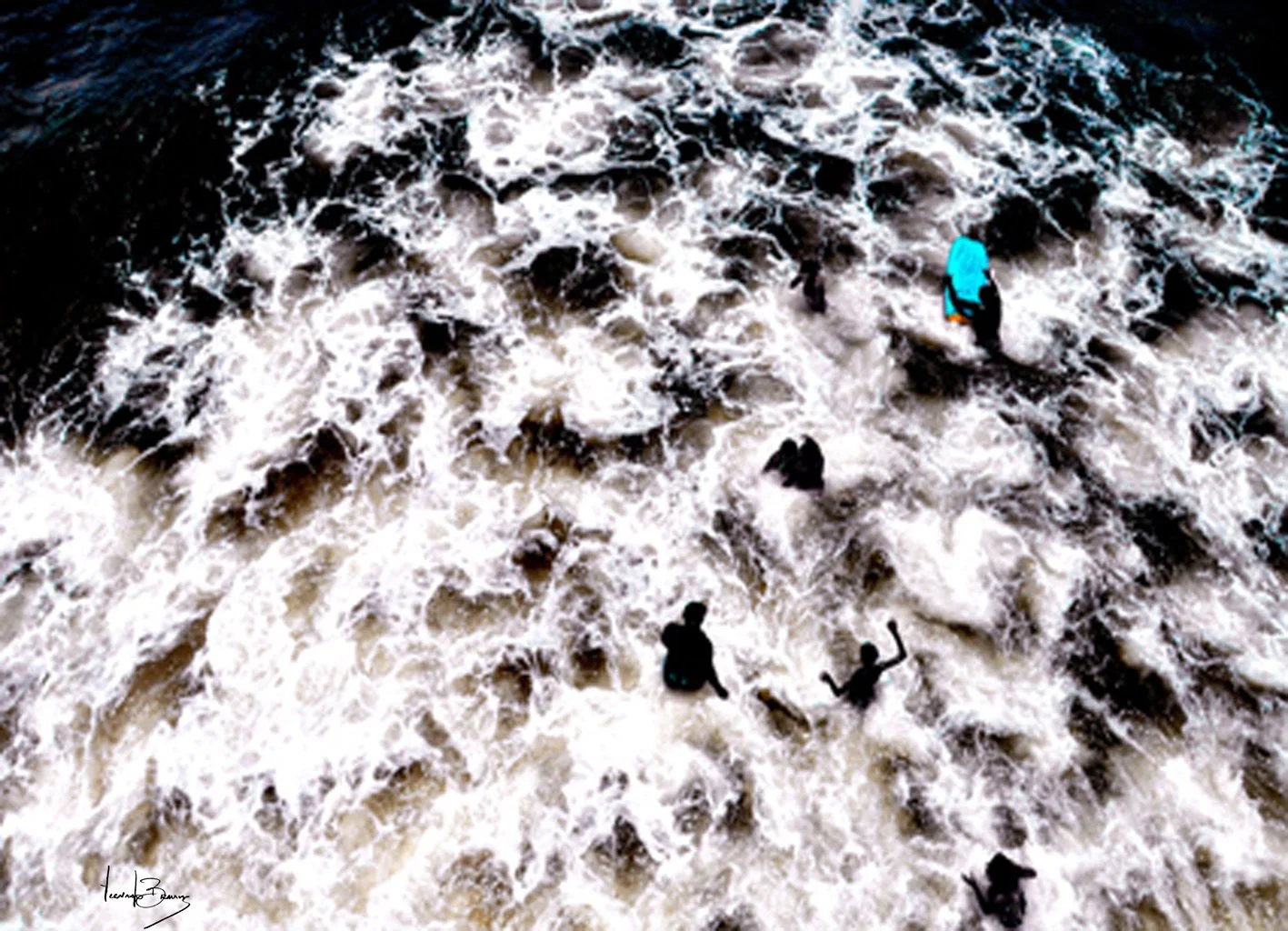 ROSAS NEGRAS // FERNANDO BRAUNE