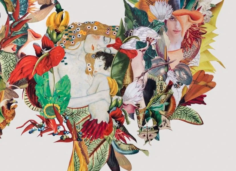 SOL BARBERIS // Trascender fronteras