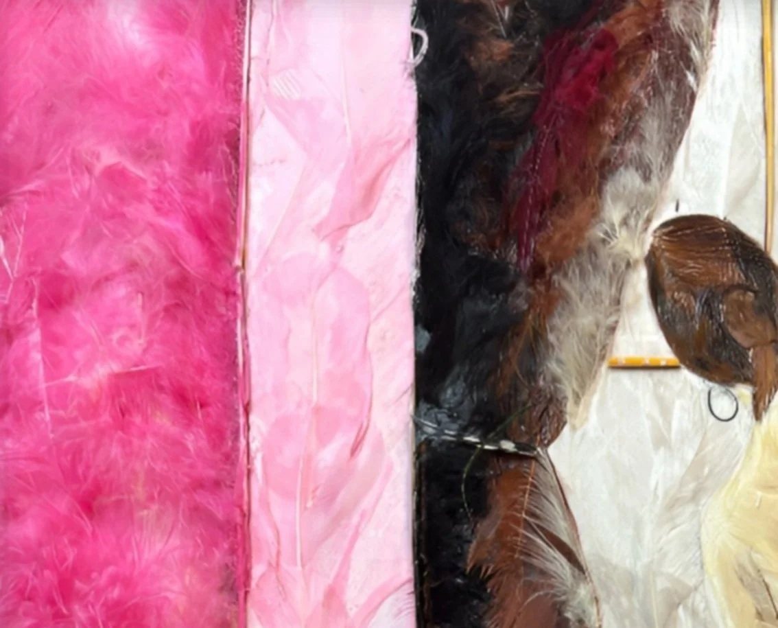 RAMON GAMBOA // SOMOS UNA SOLA RAZA