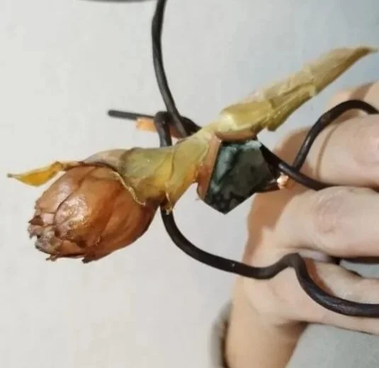 IONÁ ARANTES // TIEMPO, MATERIALIDAD Y RESPONSABILIDAD