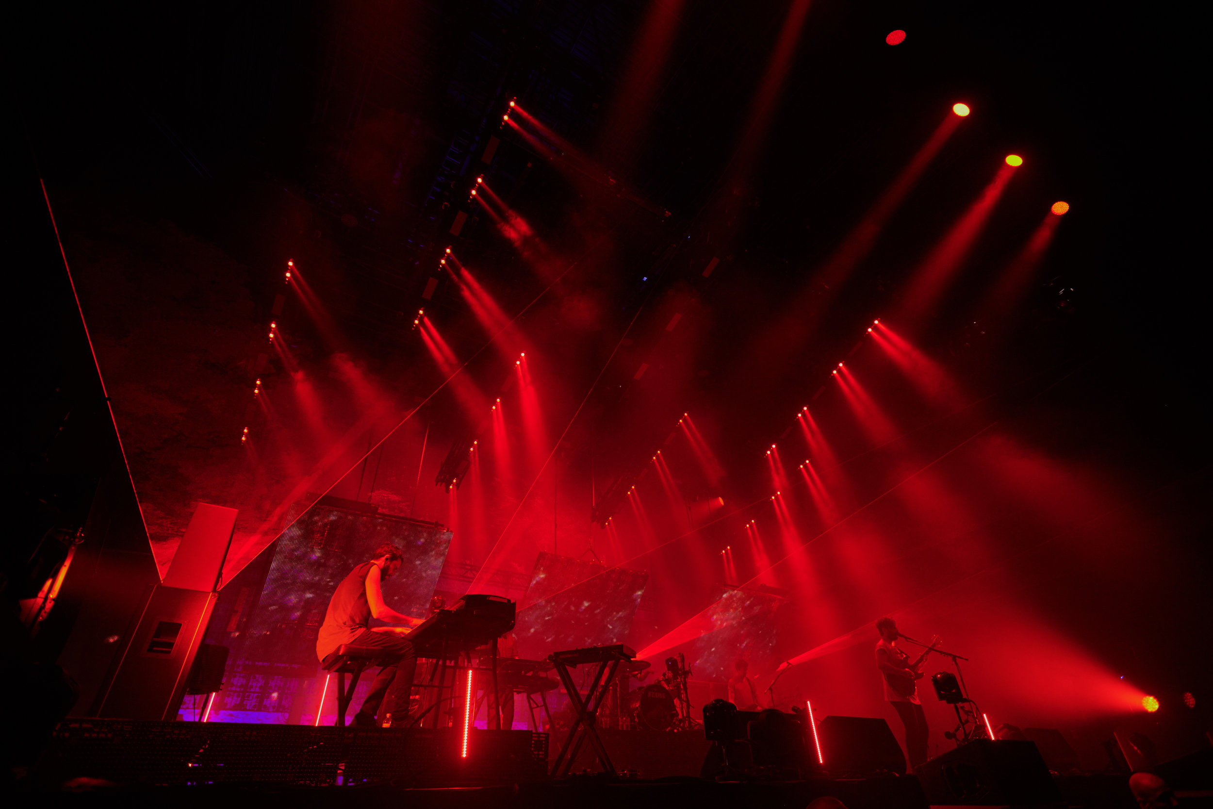 DACS_Foals_571 copy.jpg