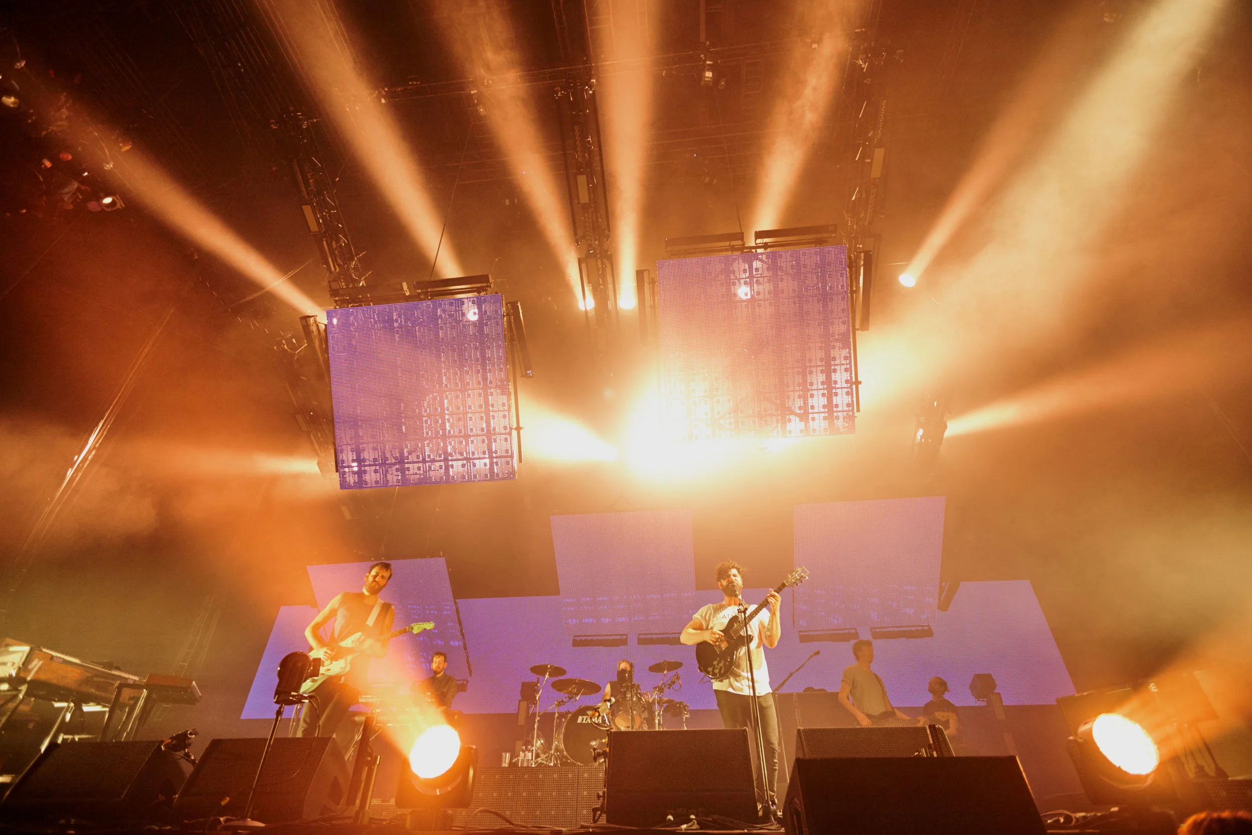DACS_Foals_588 copy.jpg