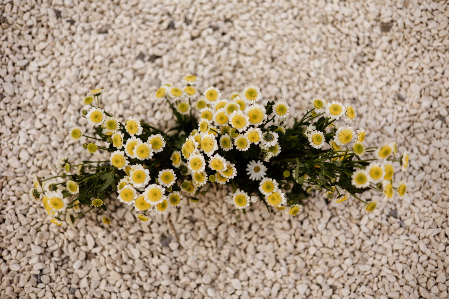composition florale jaune mariage