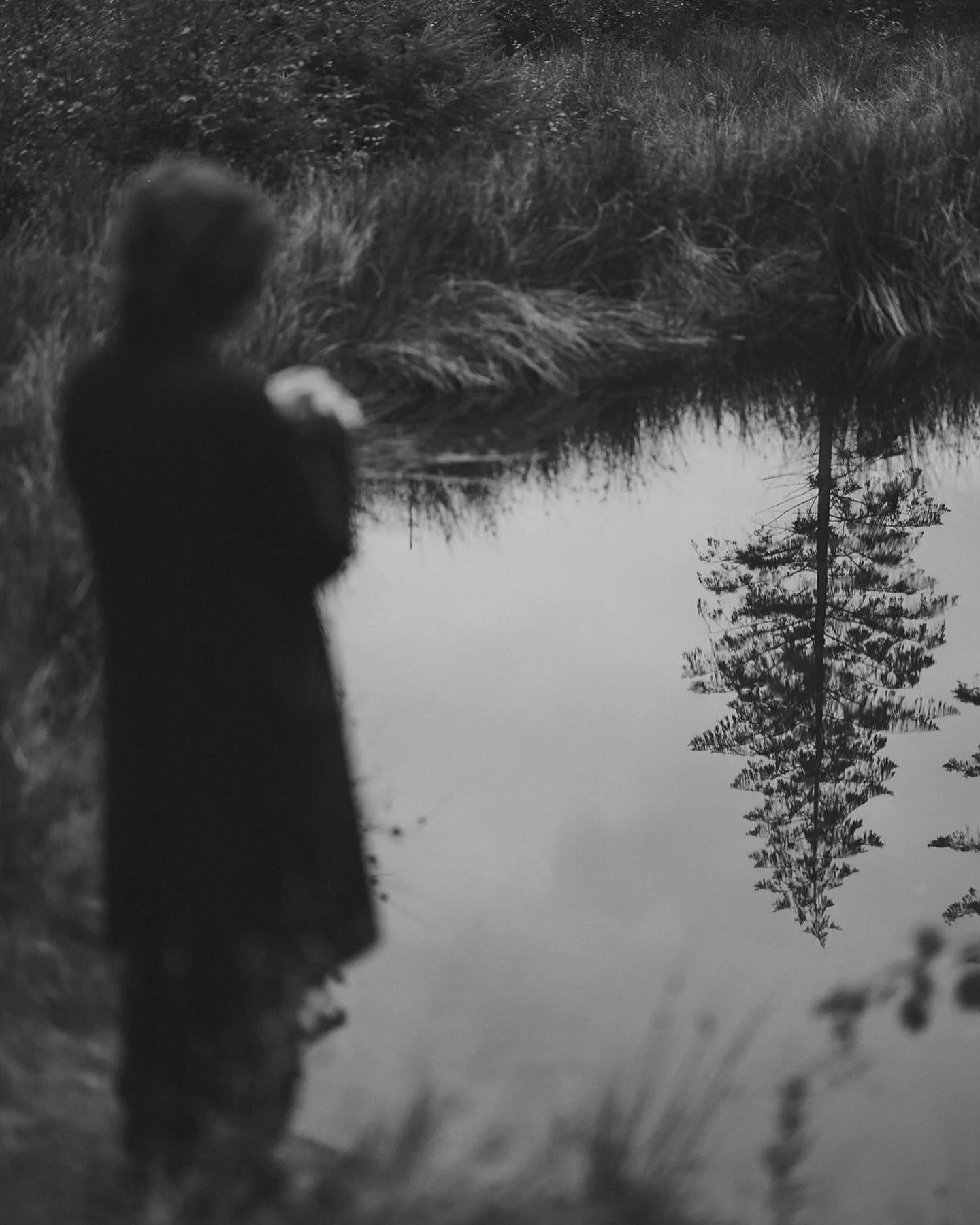 4D6F6A60-4C5B-4E71-90AA-ED97AA9D463B.JPG