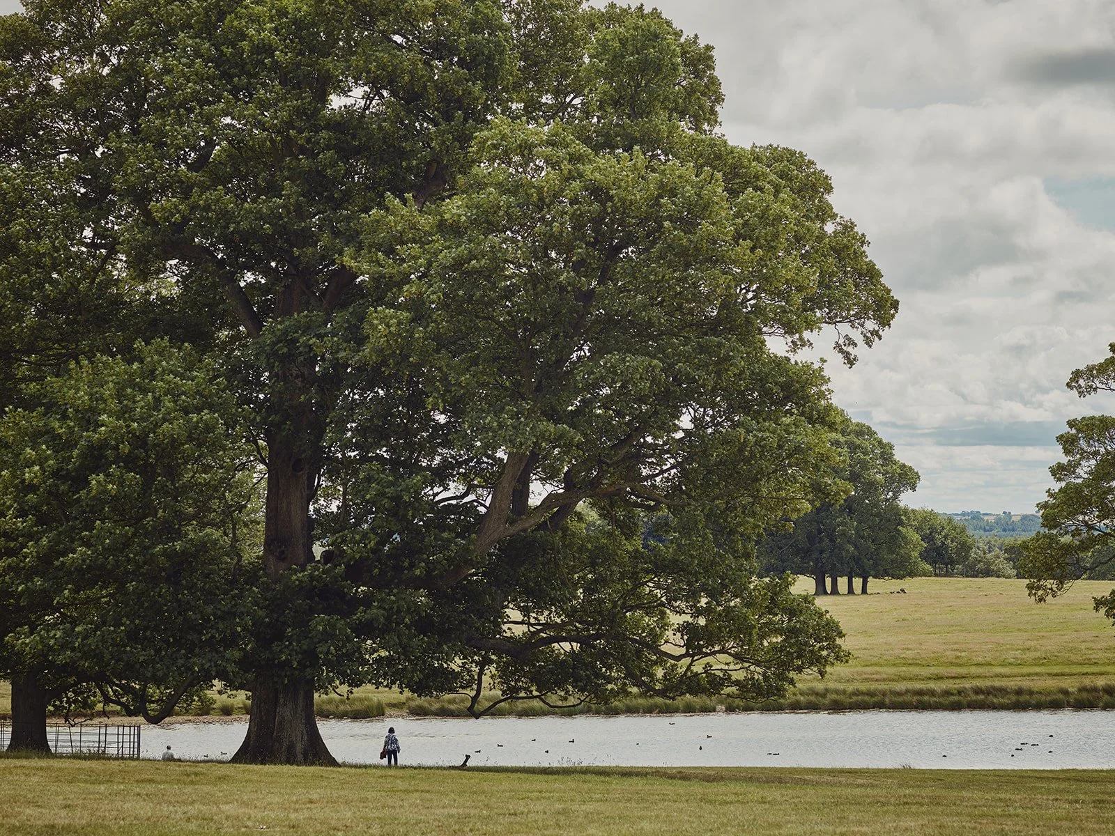 Raby Castle 31_websize.jpg