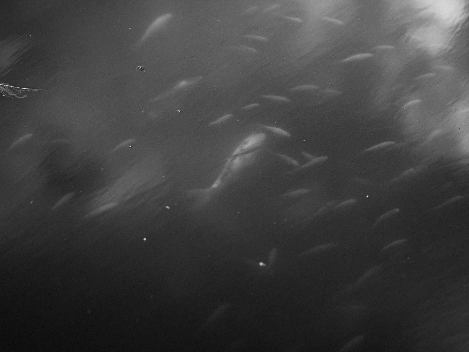 Timeless Collection-550_websize.jpg