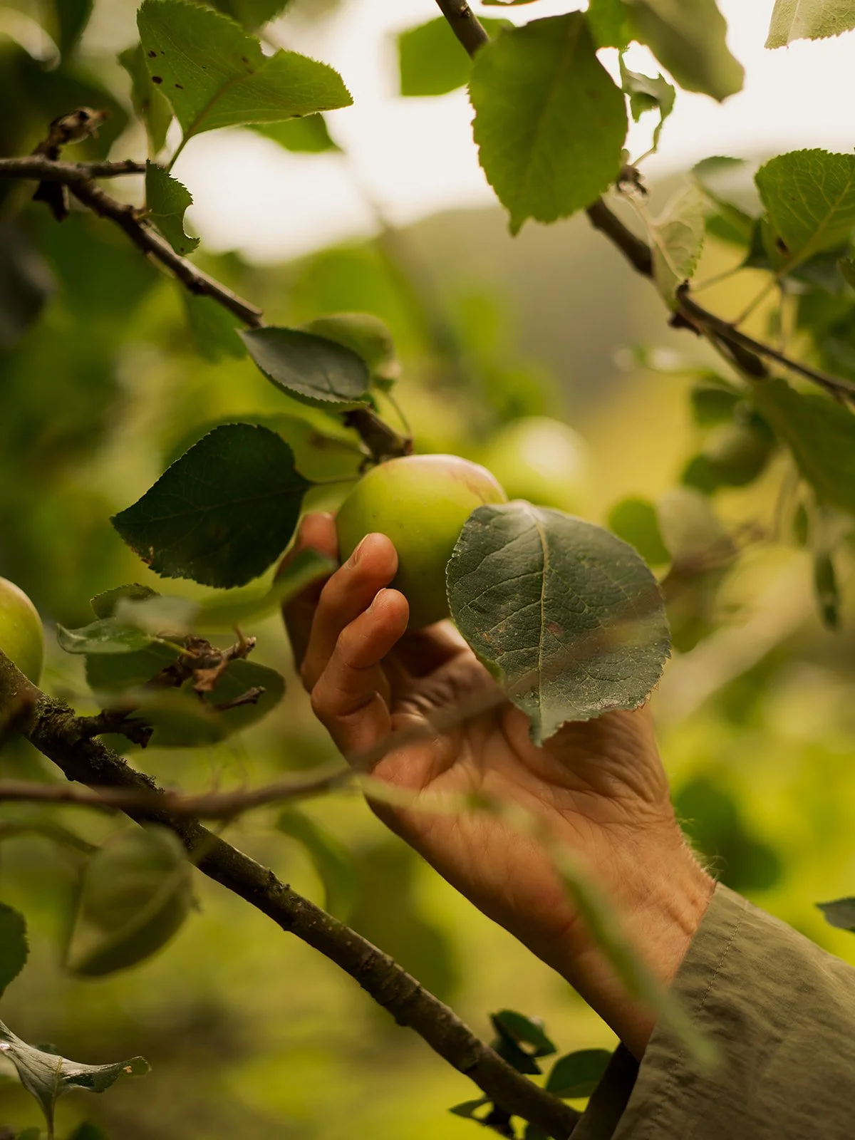 Timeless Collection-717_websize (1).jpg